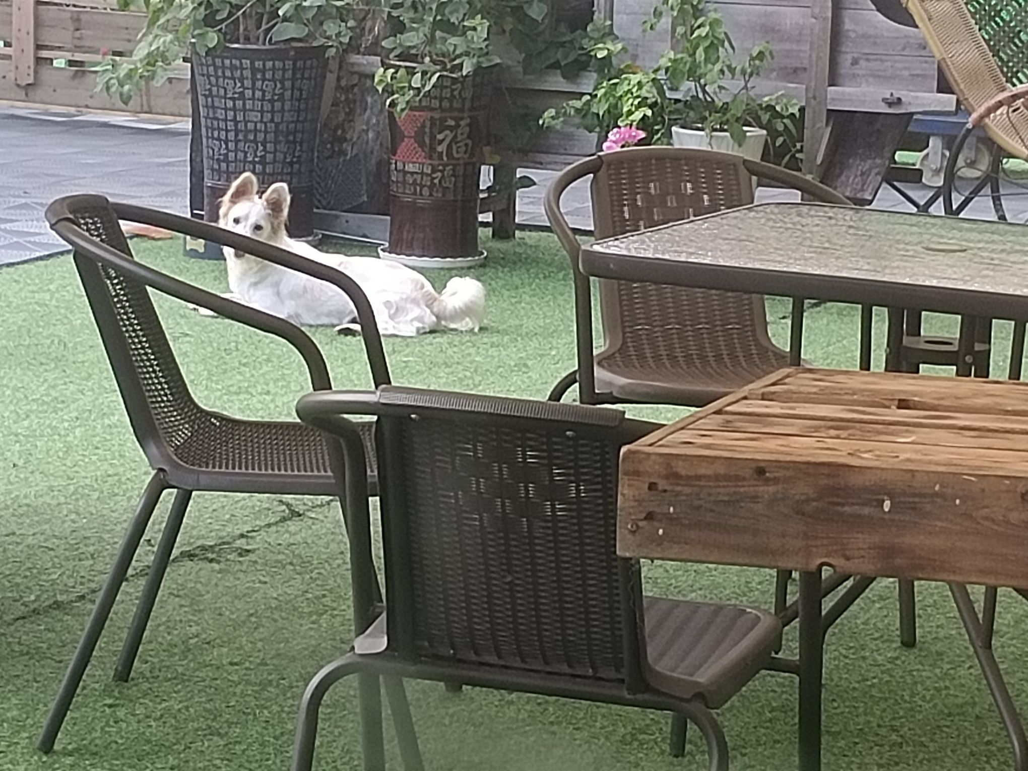 场地封面-萌主度假营地