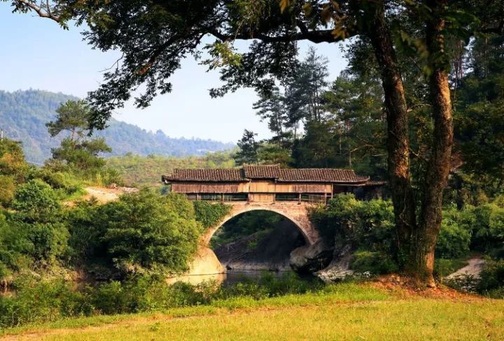 甯家大院旅行图片 3