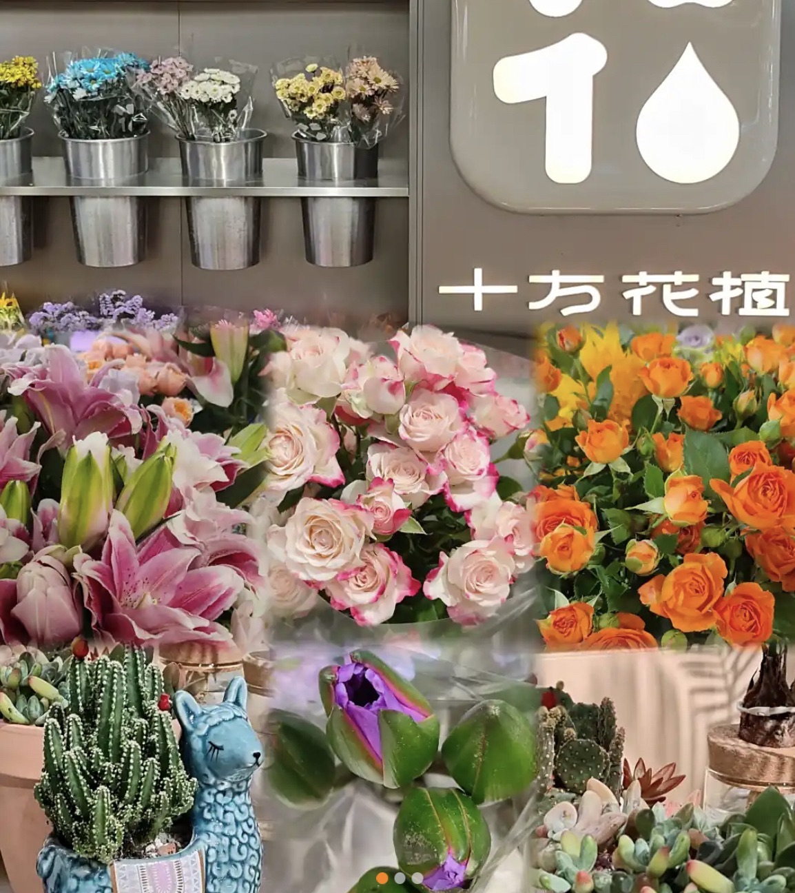 十方花植(青春颂广场店)