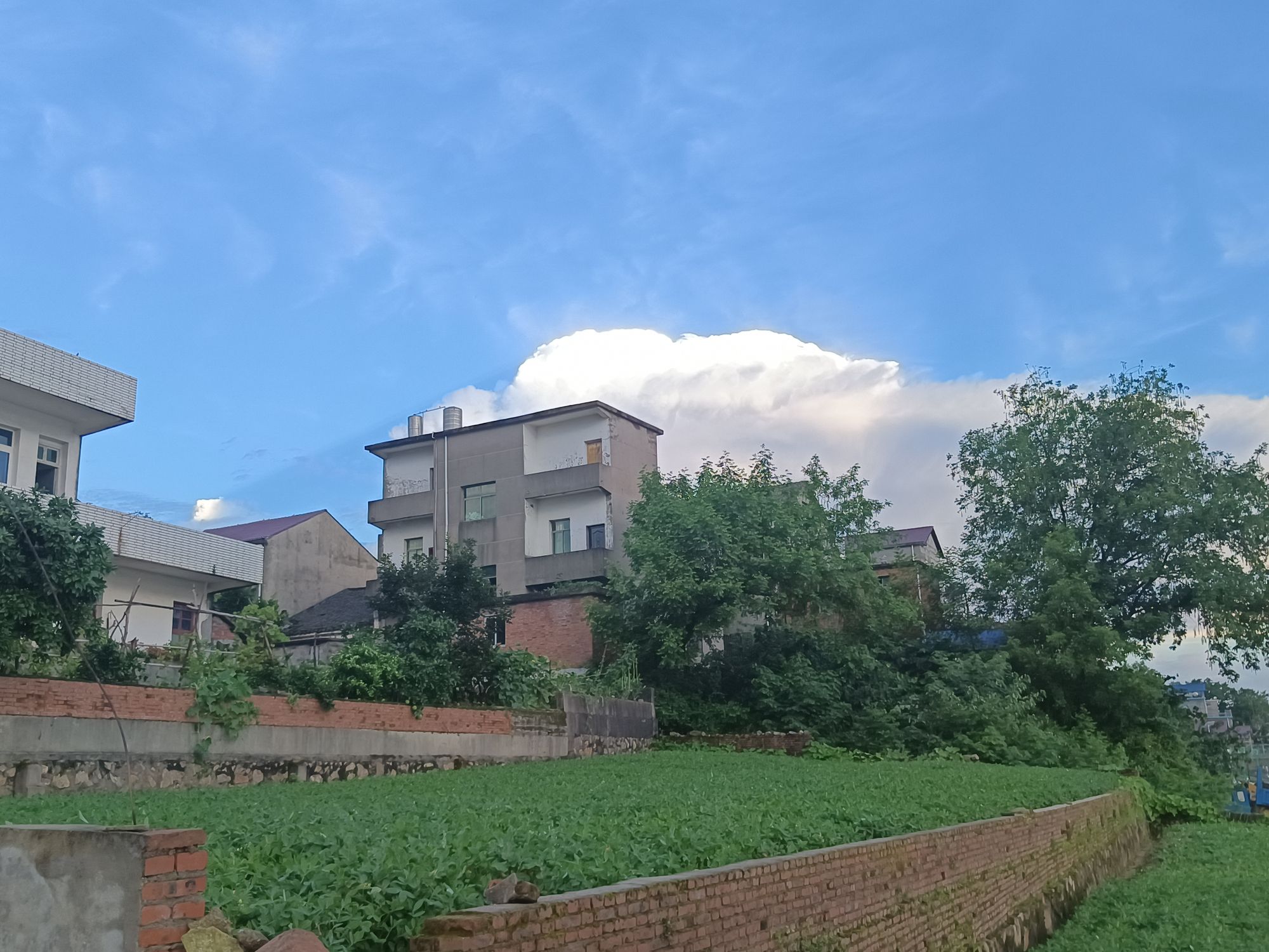 望江亭旅行图片 1