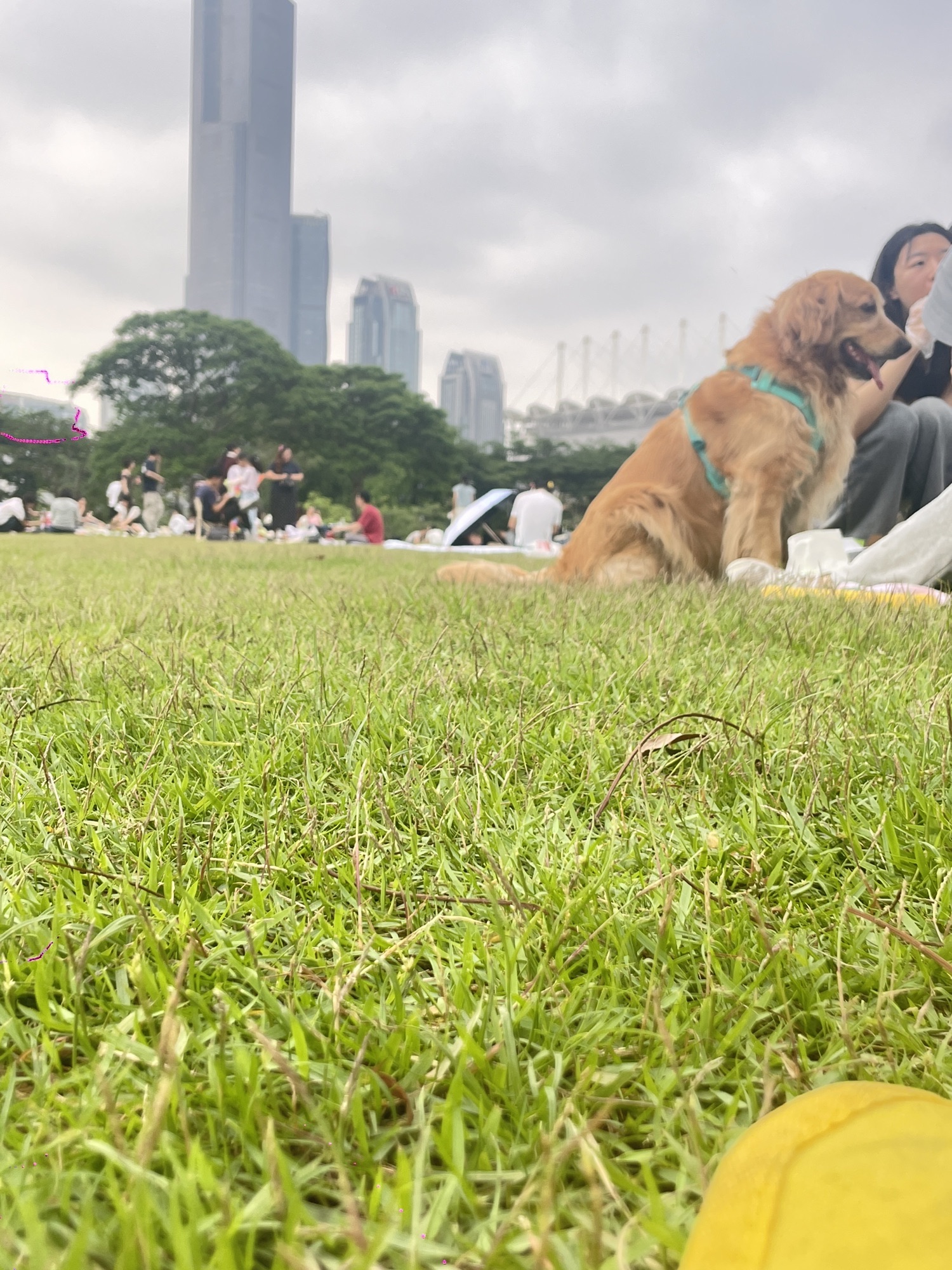 场地封面-二沙岛艺术公园露营地