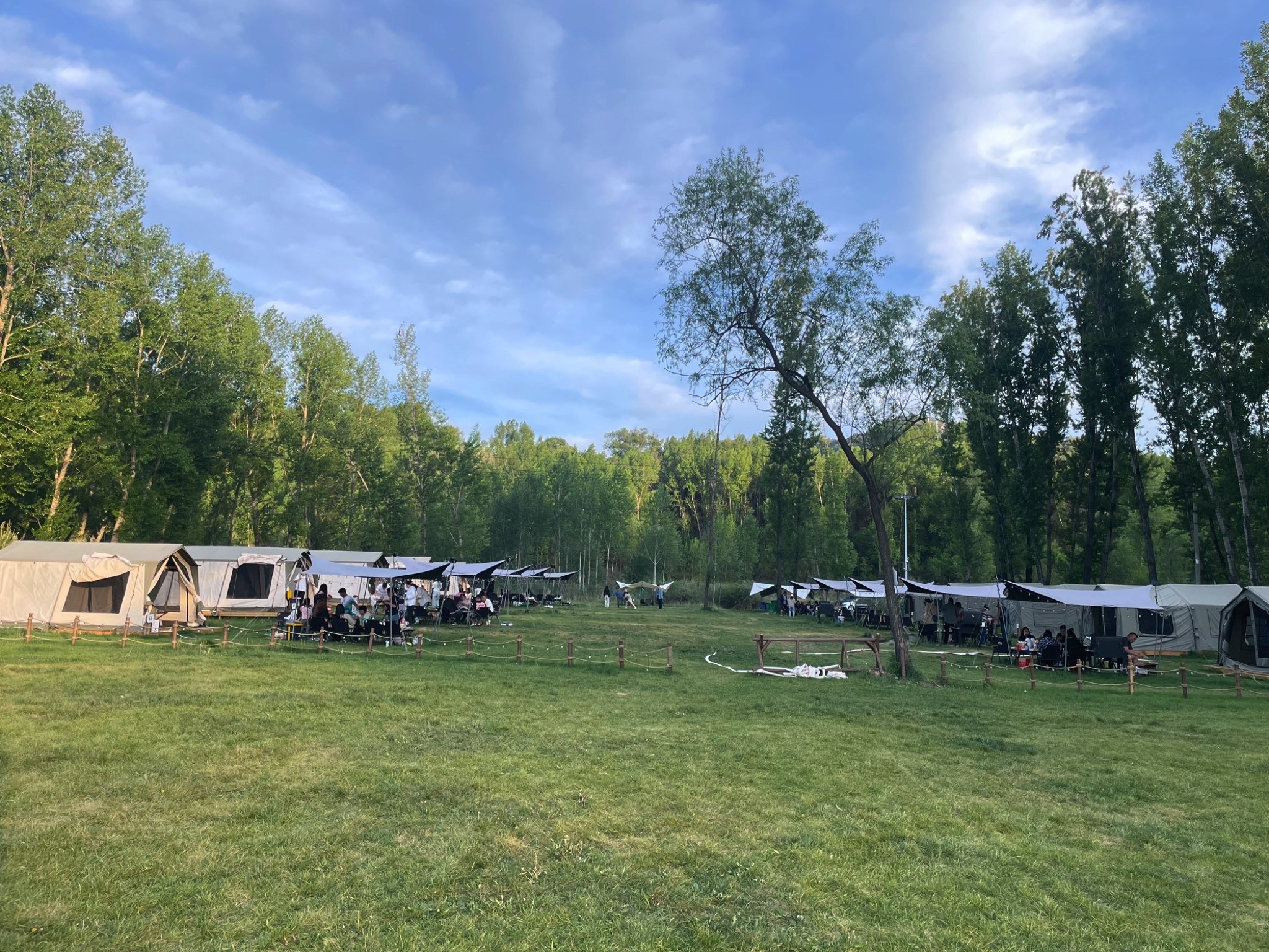 旷野小森林露营基地