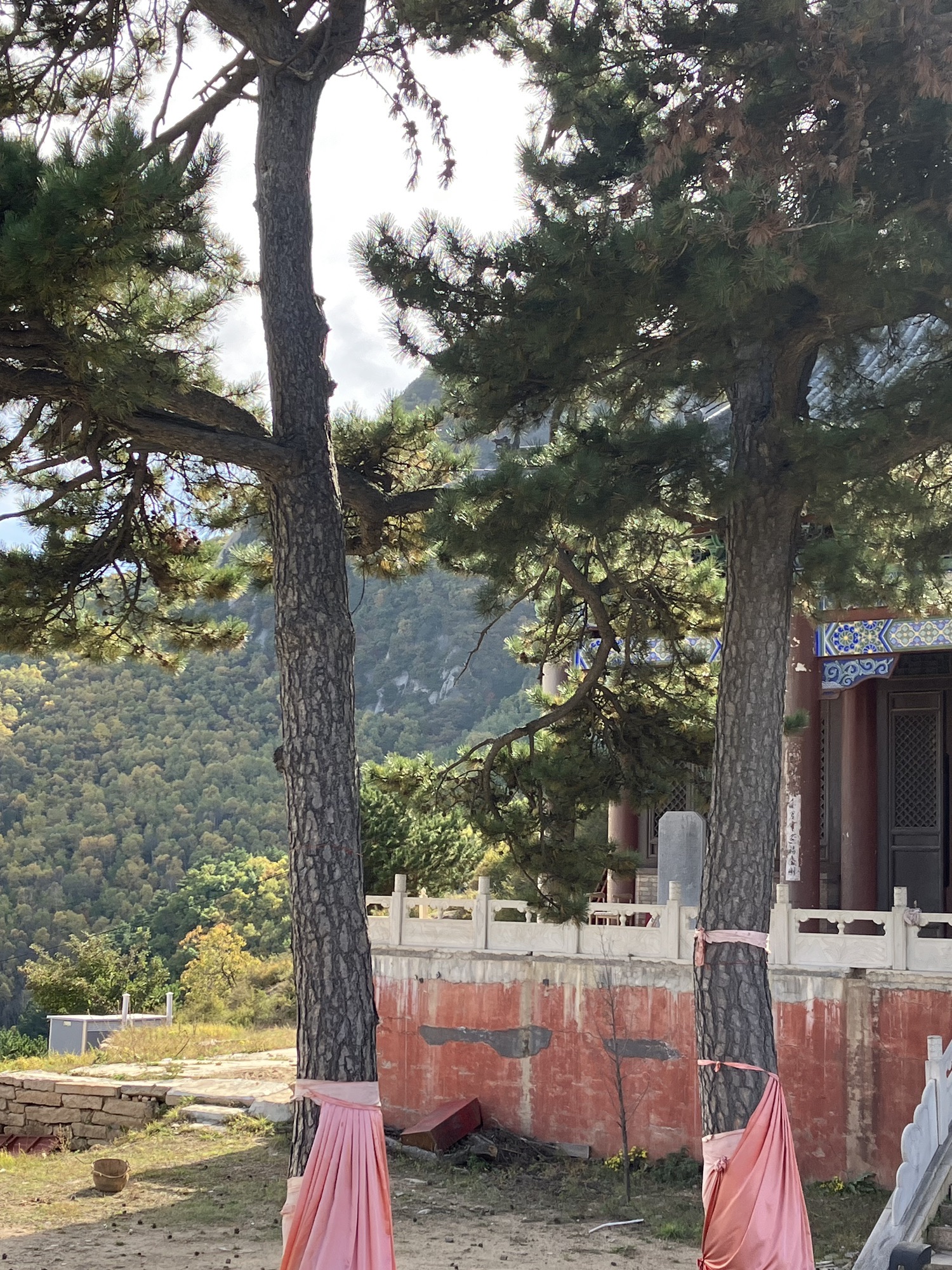 千佛岭旅行图片 1