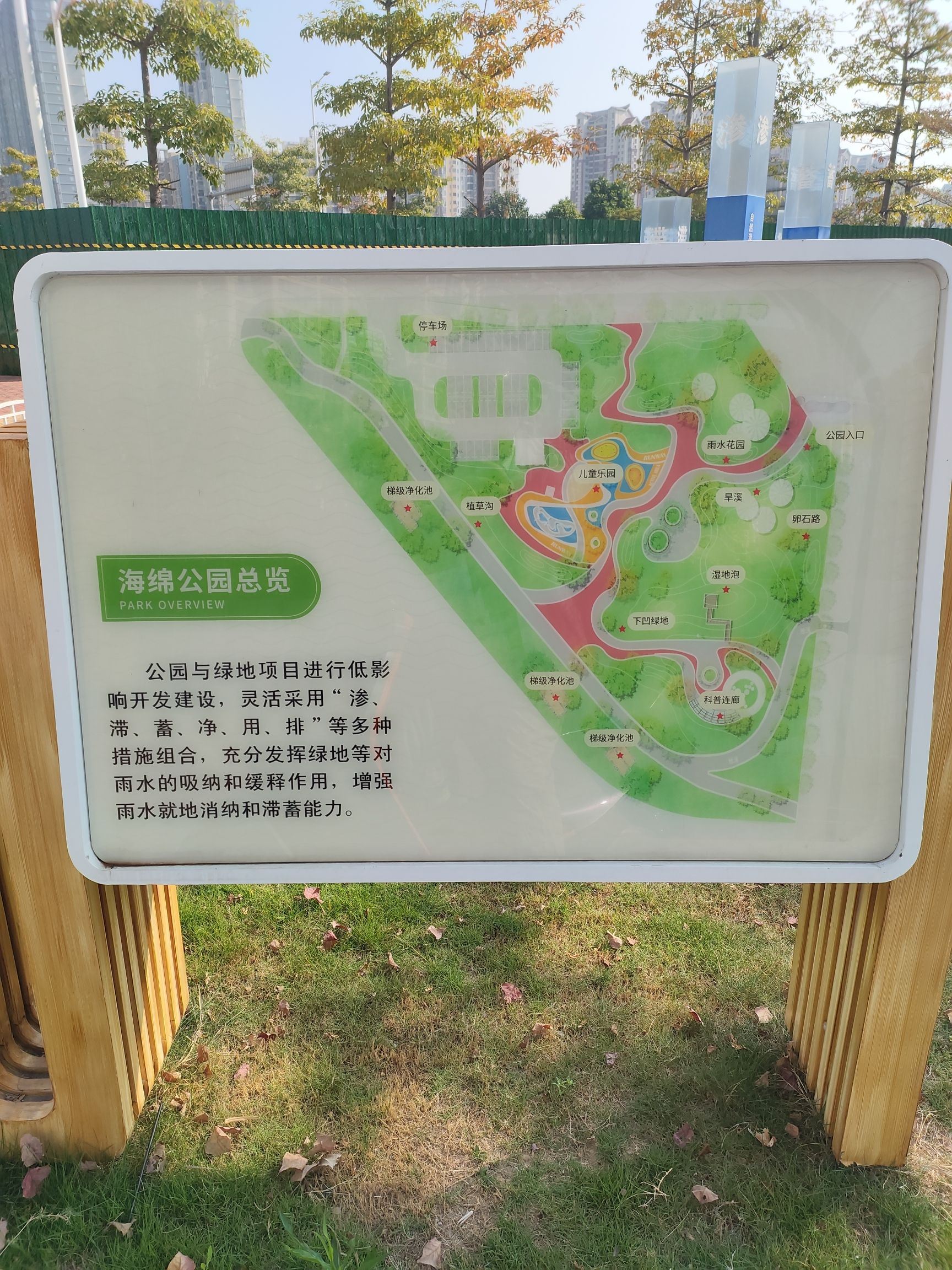 海绵公园旅行图片 2
