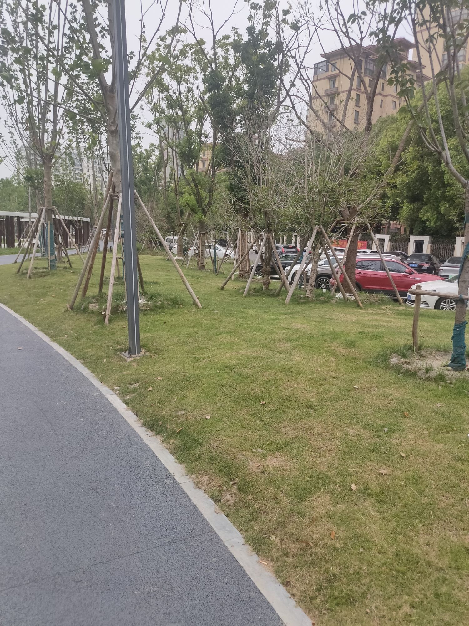白龙桥生态公园旅行图片 3