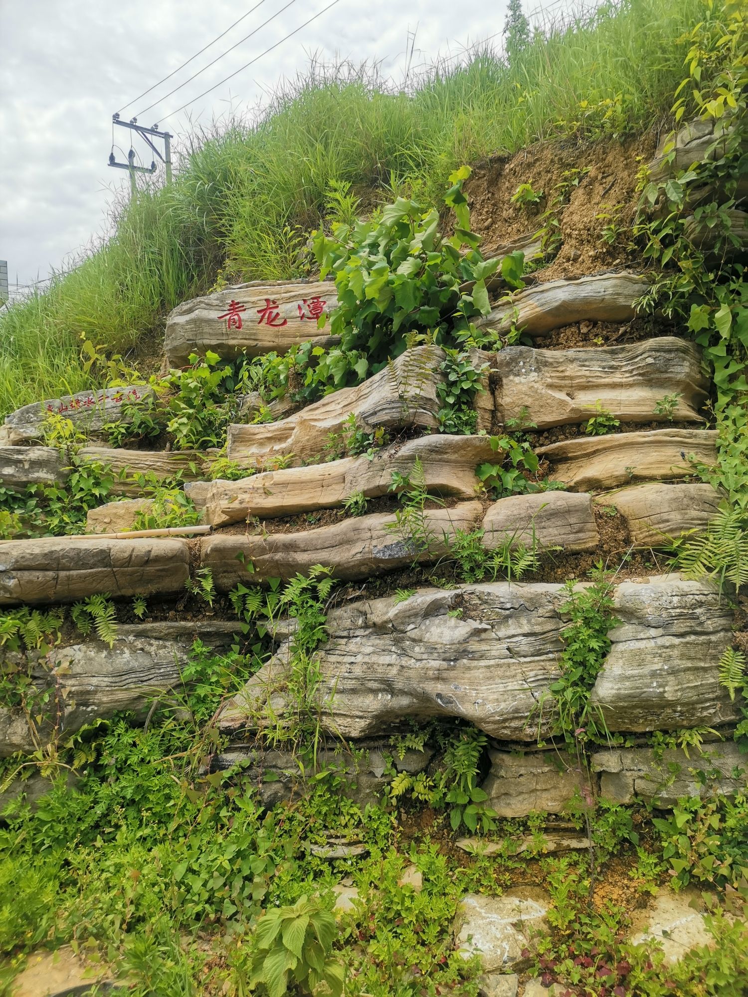 青龙潭(休闲景区)旅行图片 3