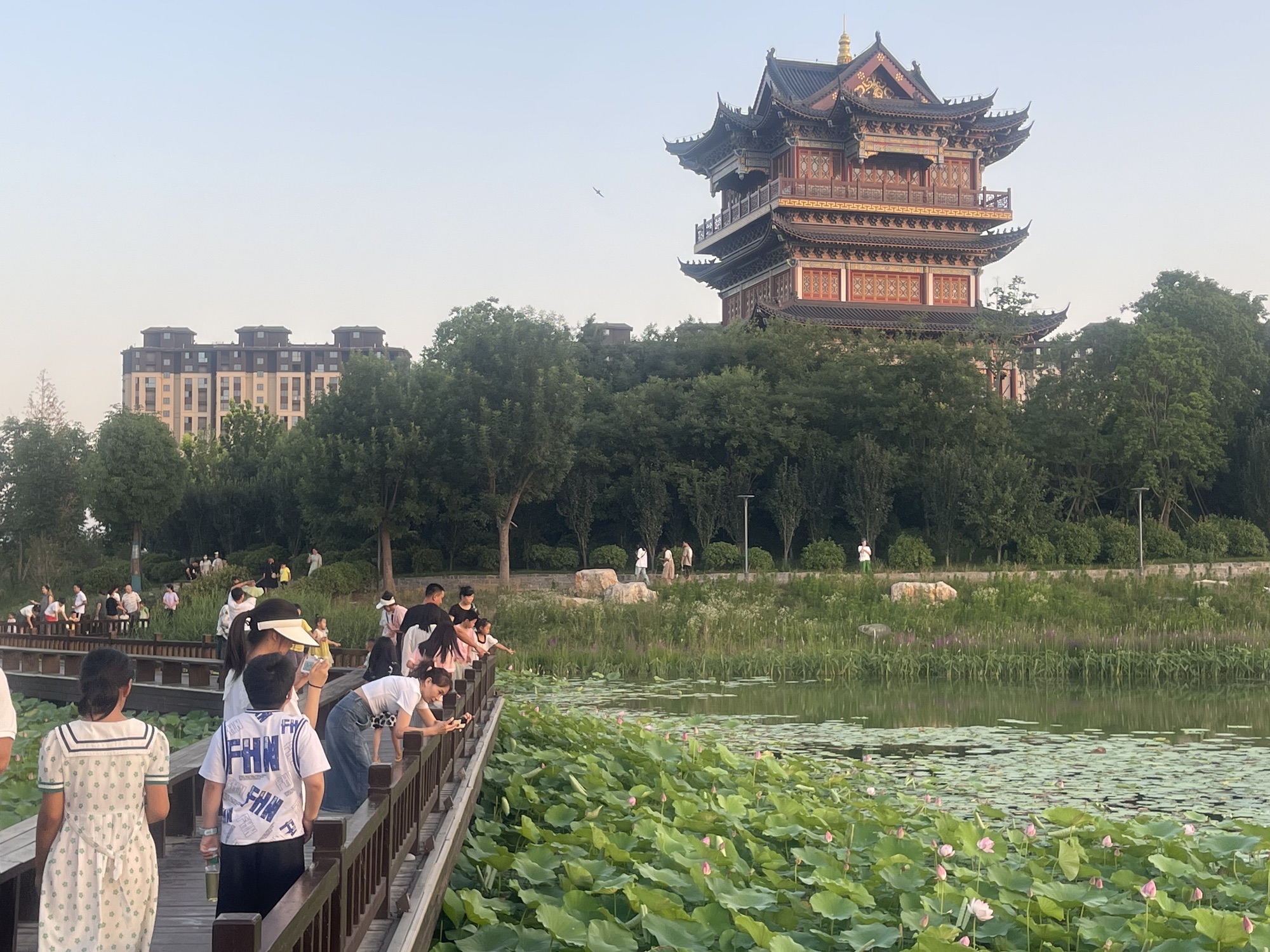 凤仪湖公园旅行图片 2
