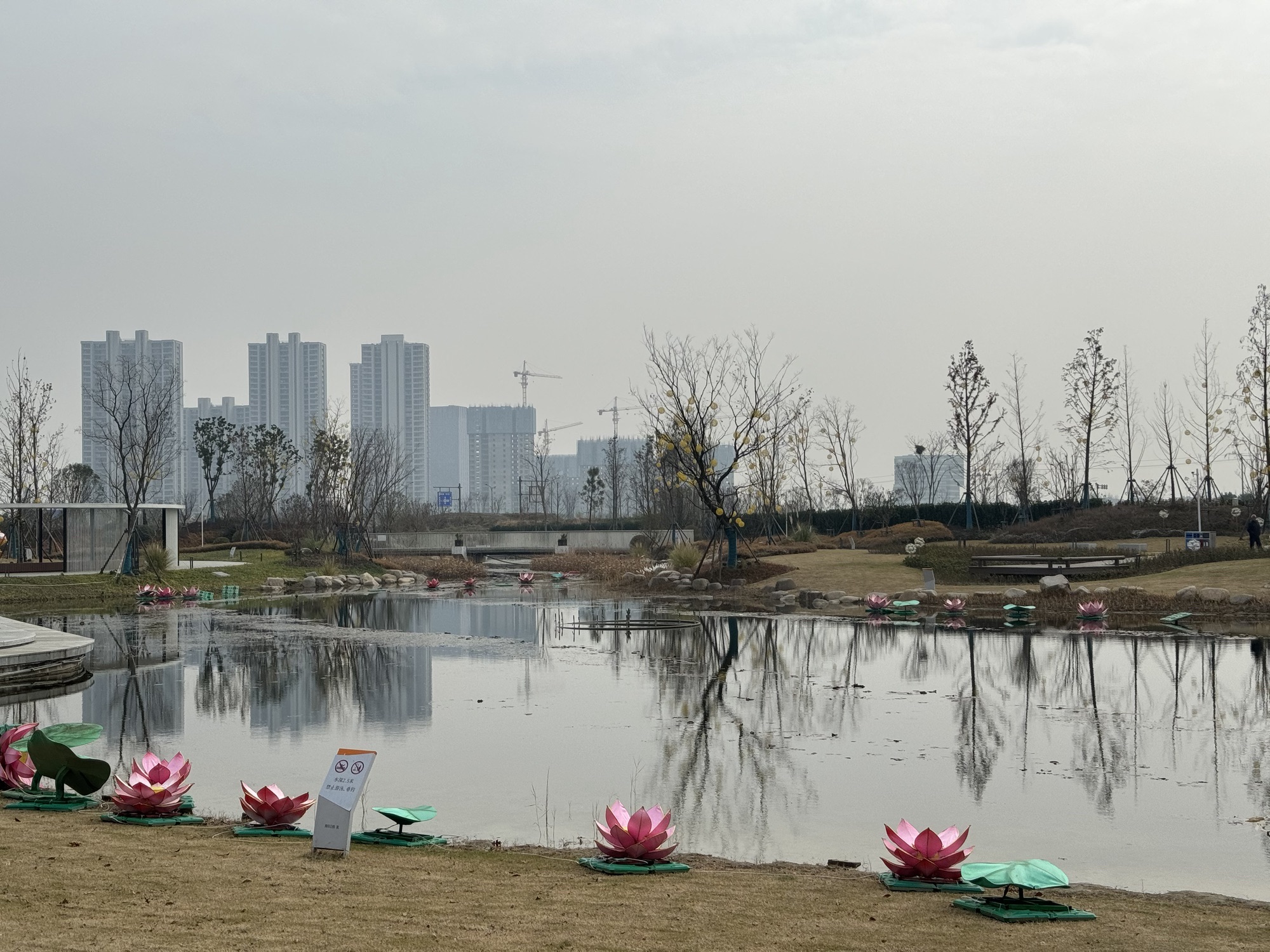 南日公园旅行图片 2