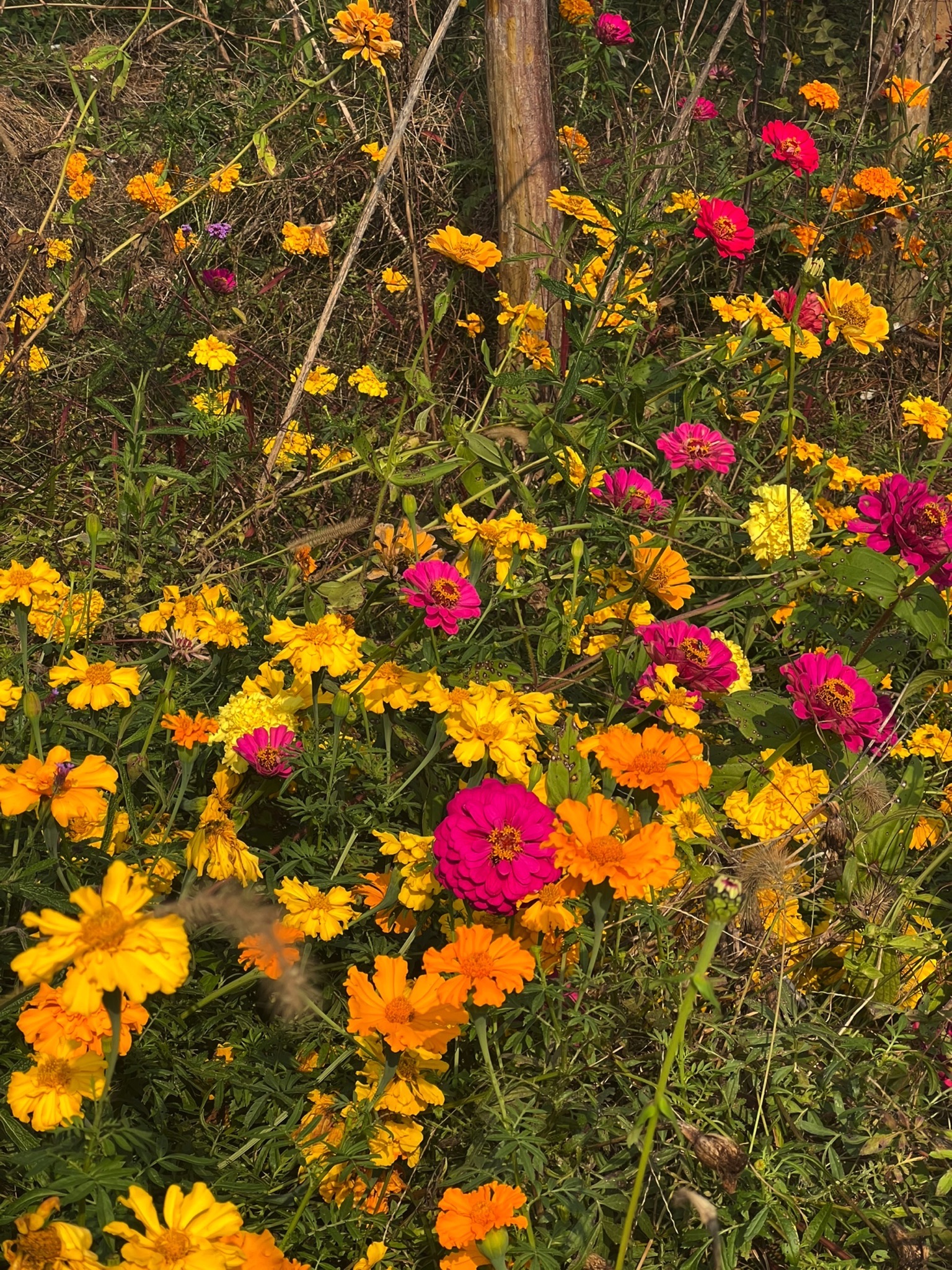 场地封面-木兰月·自然营地