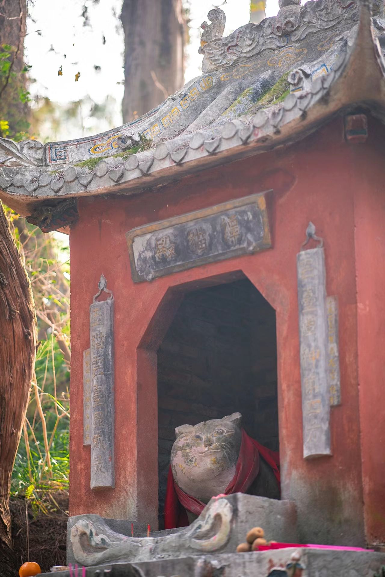 谭猫殿旅行图片 1