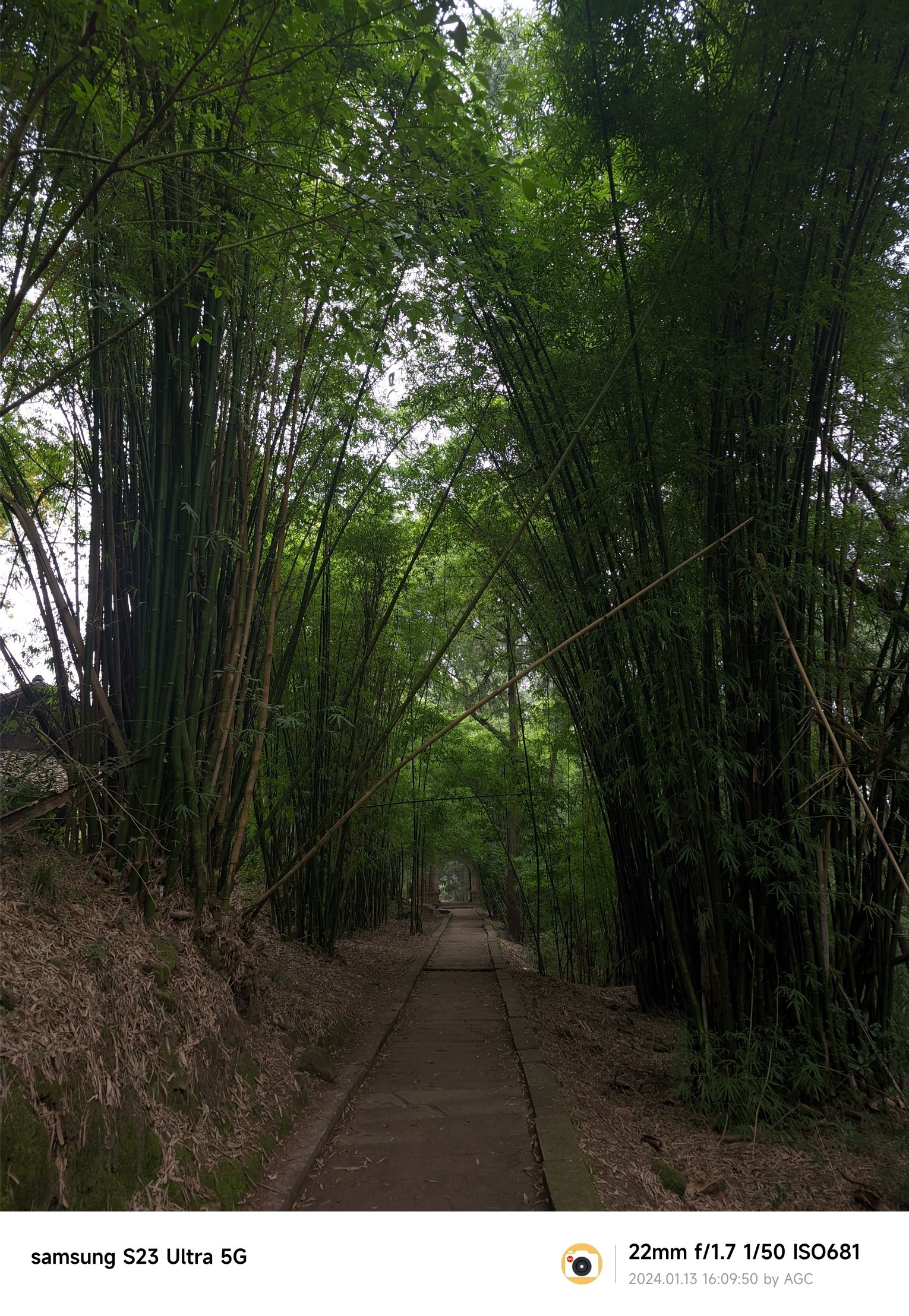 谭猫殿旅行图片 3