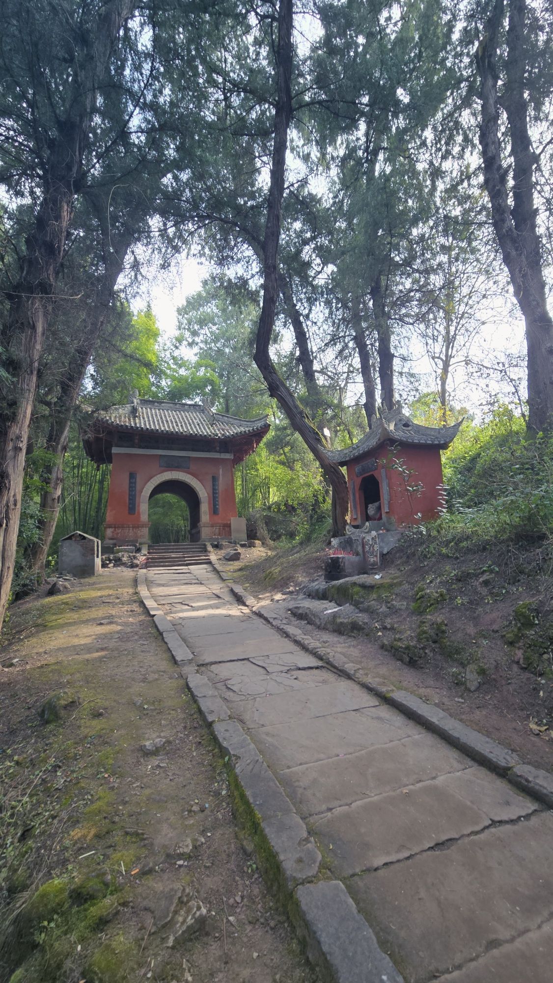 谭猫殿旅行图片 3