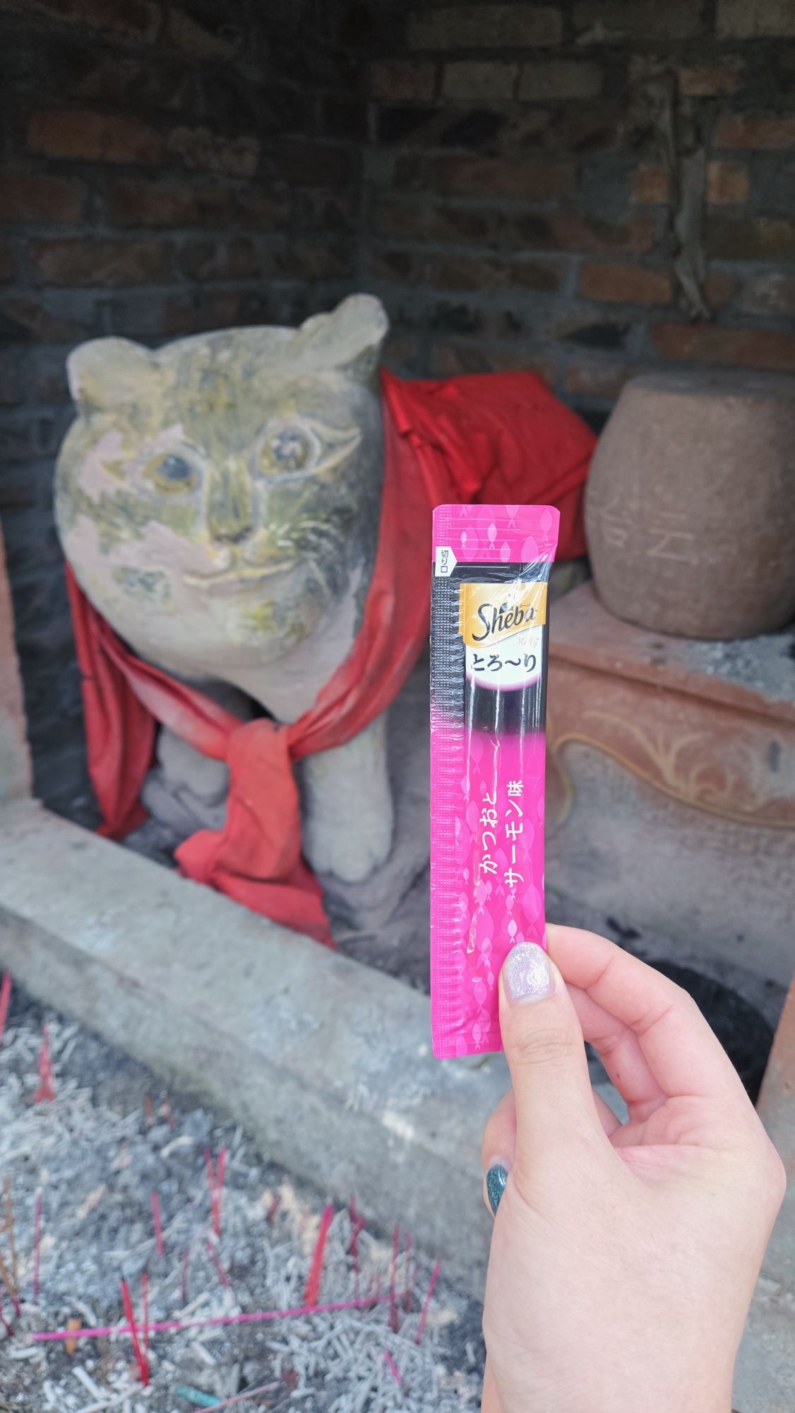 谭猫殿旅行图片 2