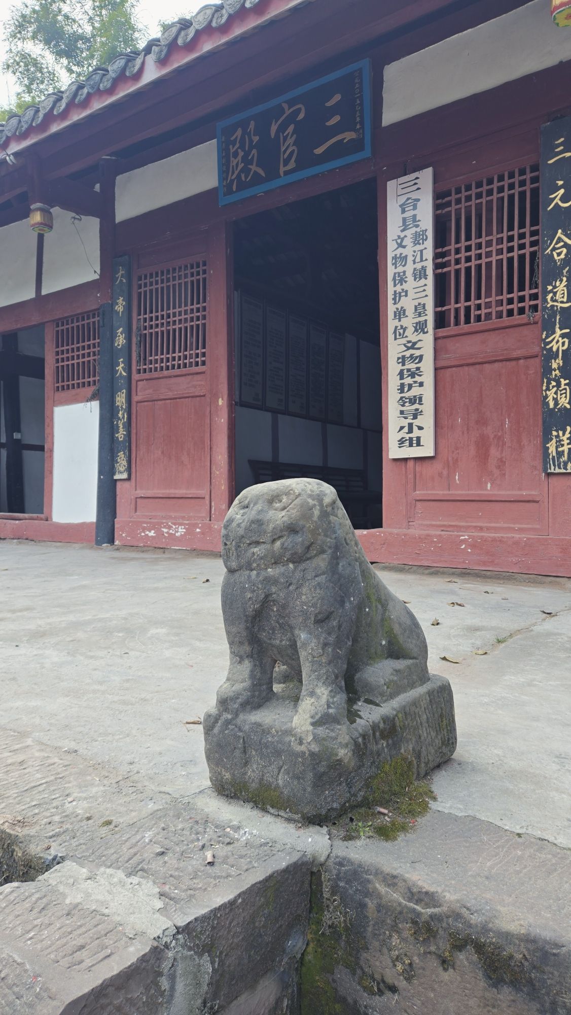 谭猫殿旅行图片
