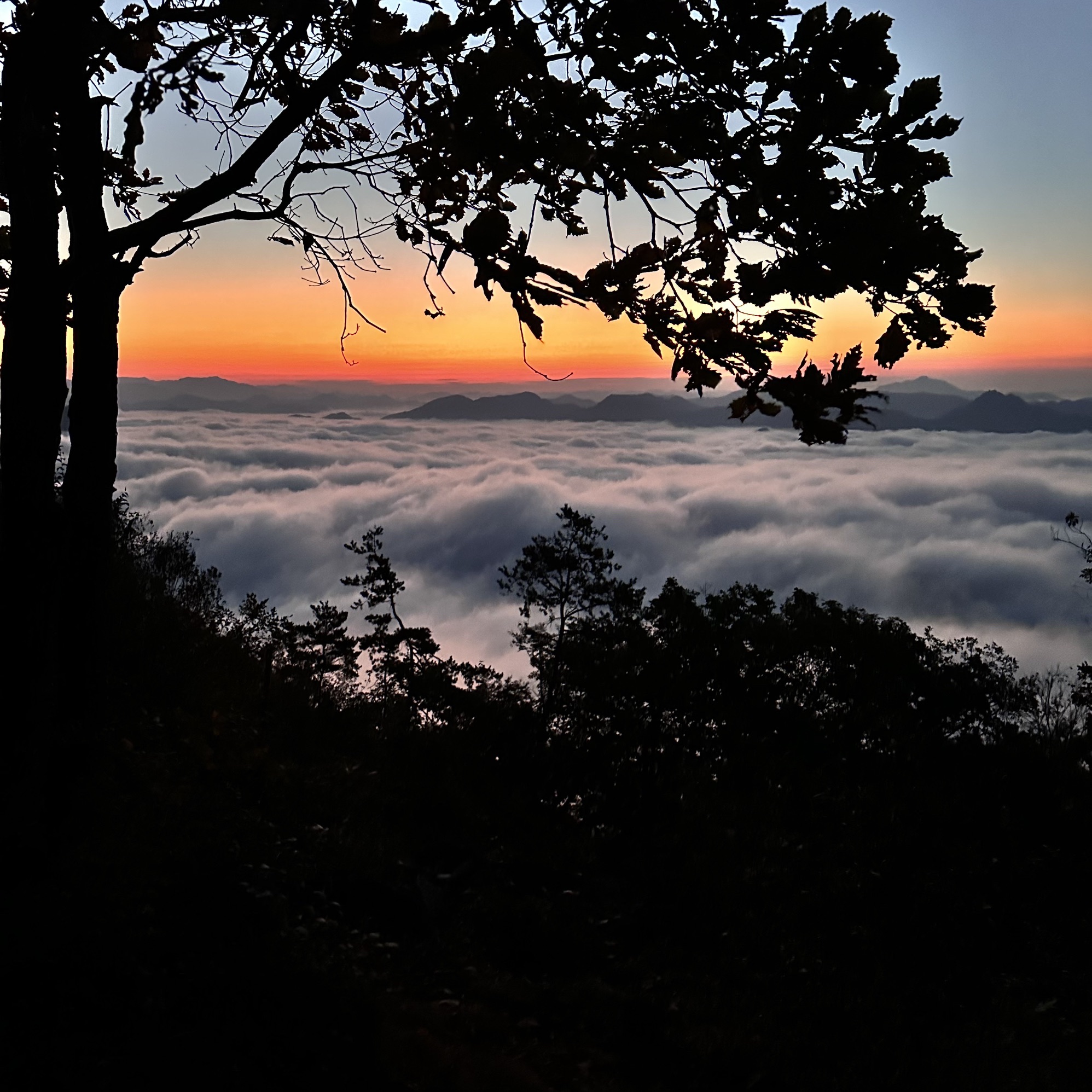 大牛沟云海天梯登山口旅行图片 2