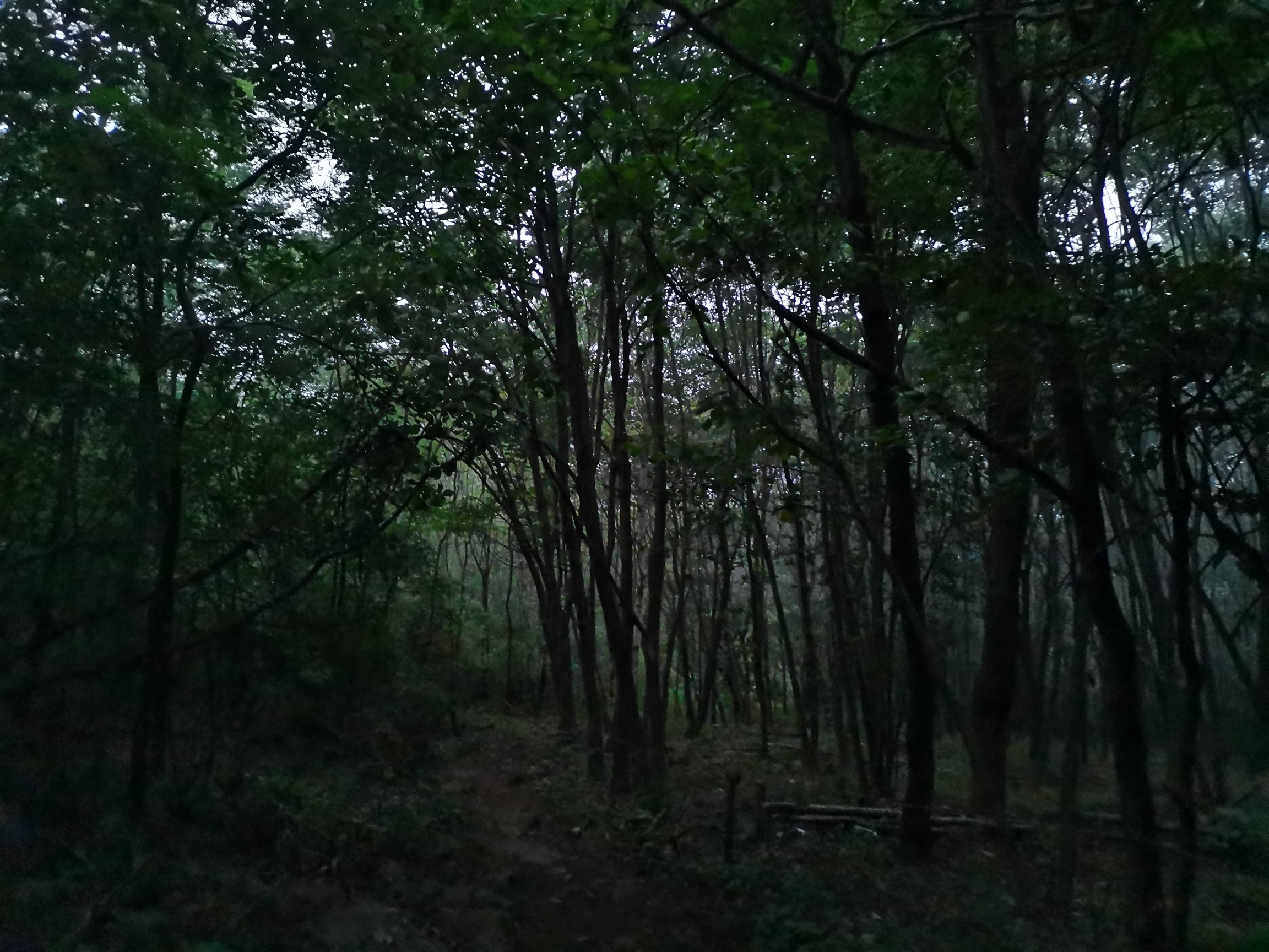 大牛沟云海天梯登山口旅行图片 2