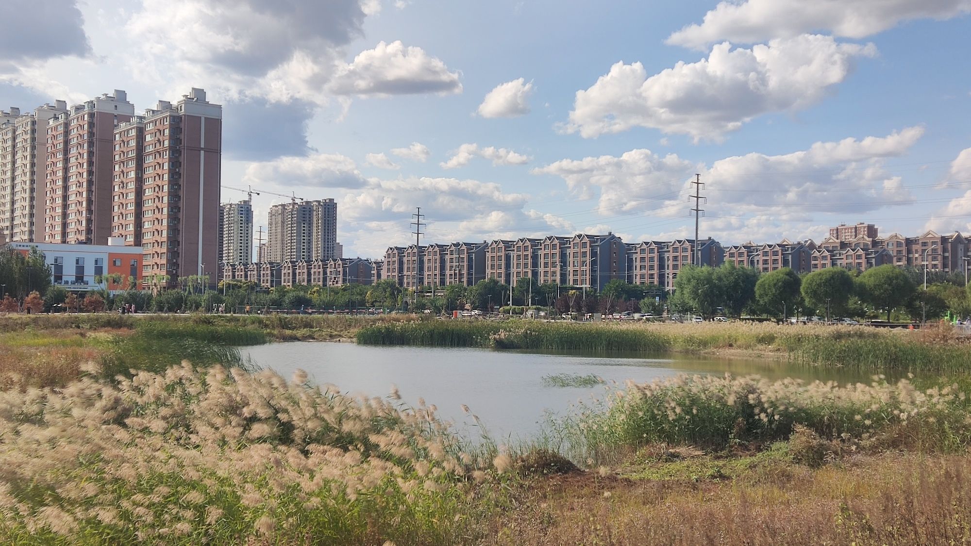 东湖体育公园旅行图片 2