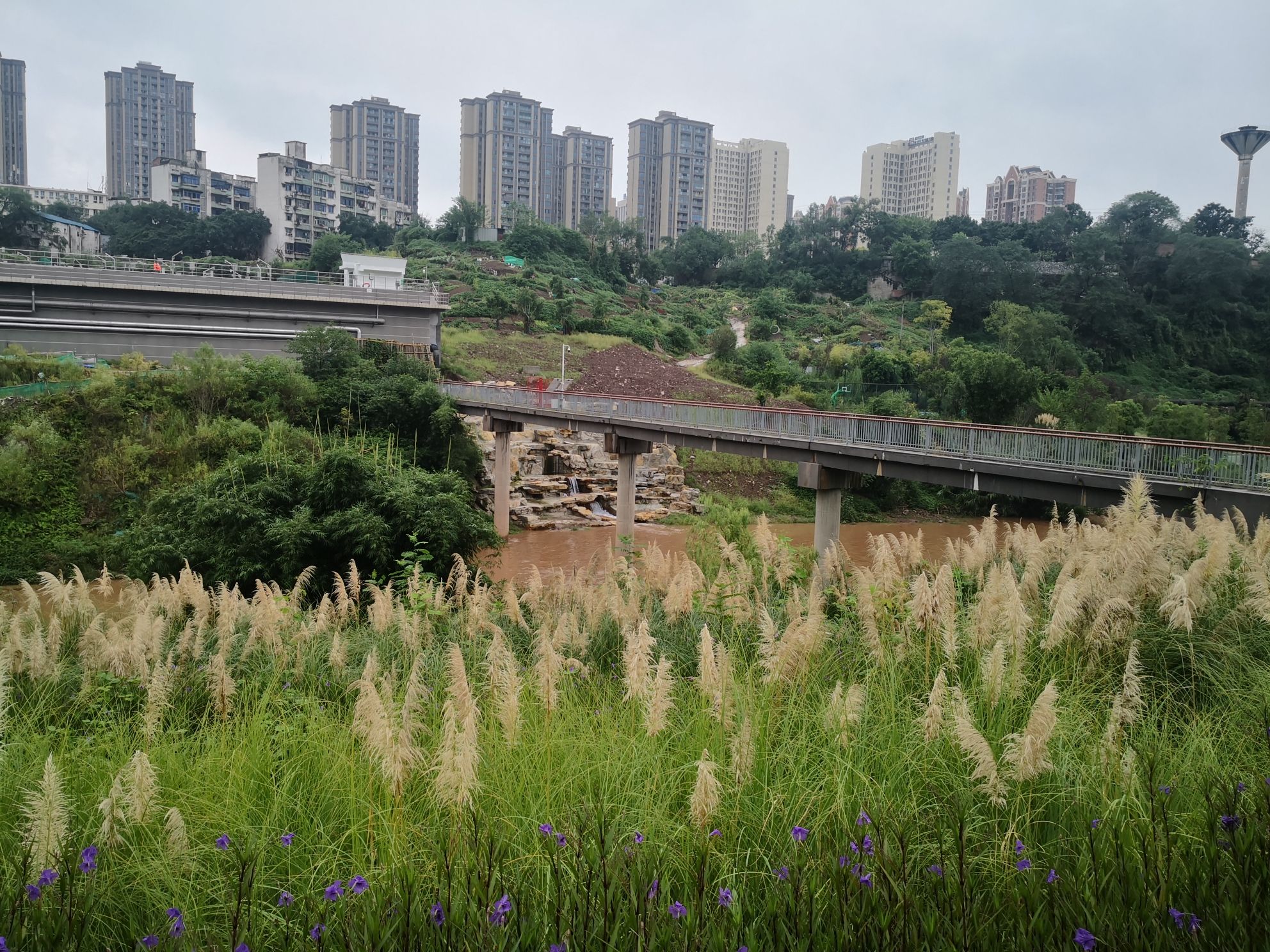 花溪滩湿地公园旅行图片 1