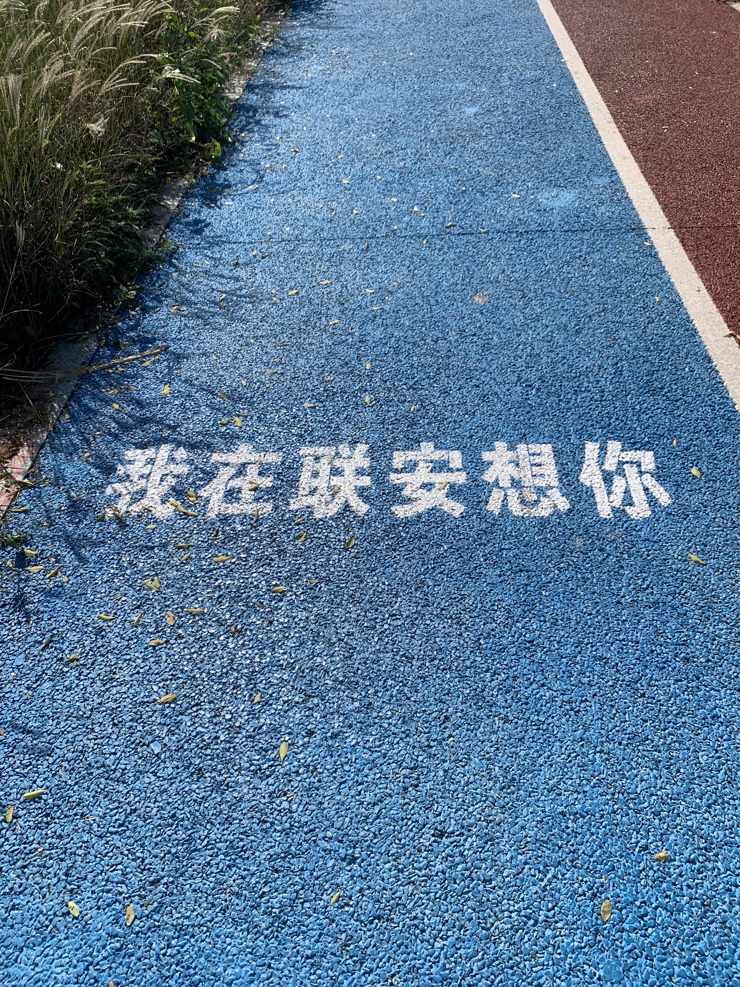 半月湾旅行图片 2