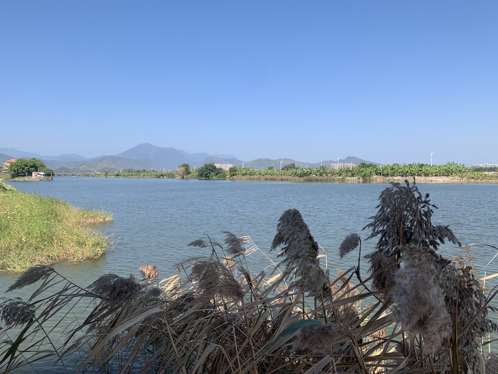 半月湾旅行图片 3