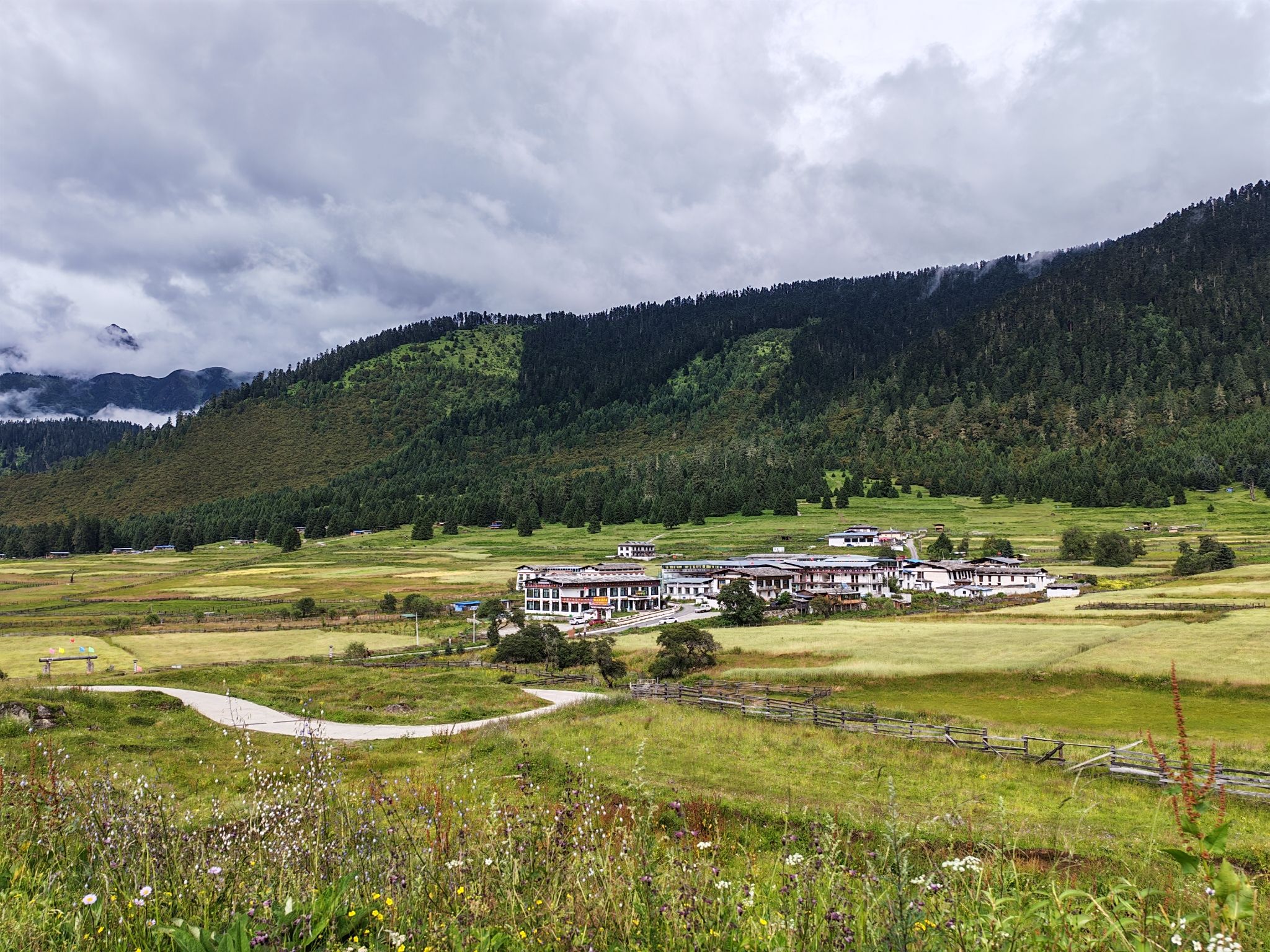 高山牧场景区