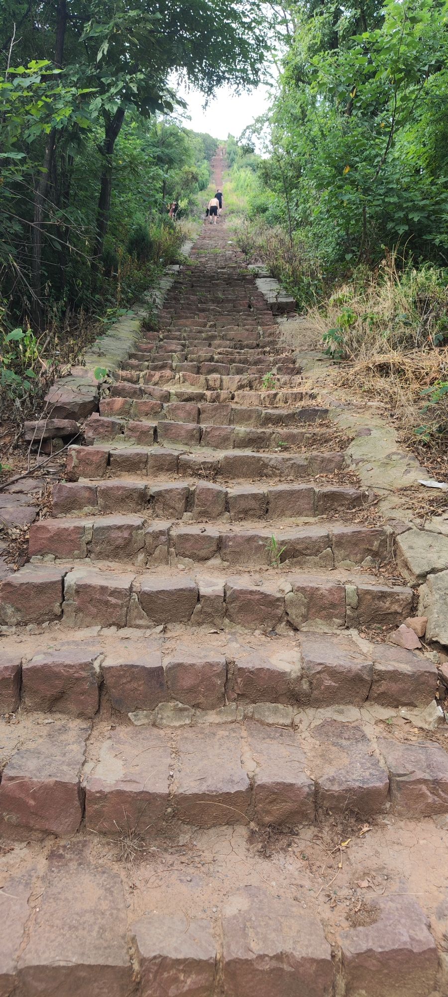 龙山寺