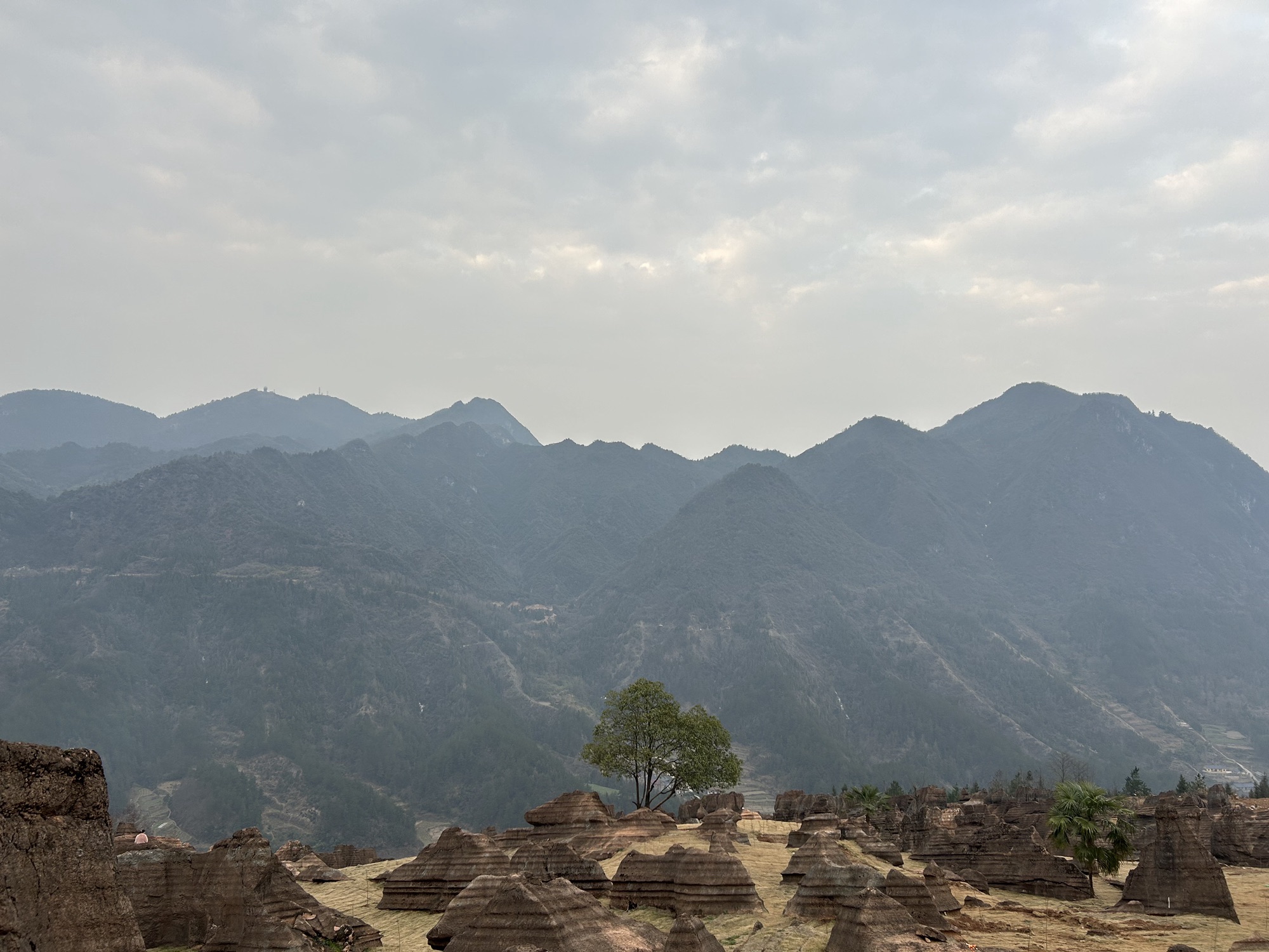 云上花石林旅行图片 2