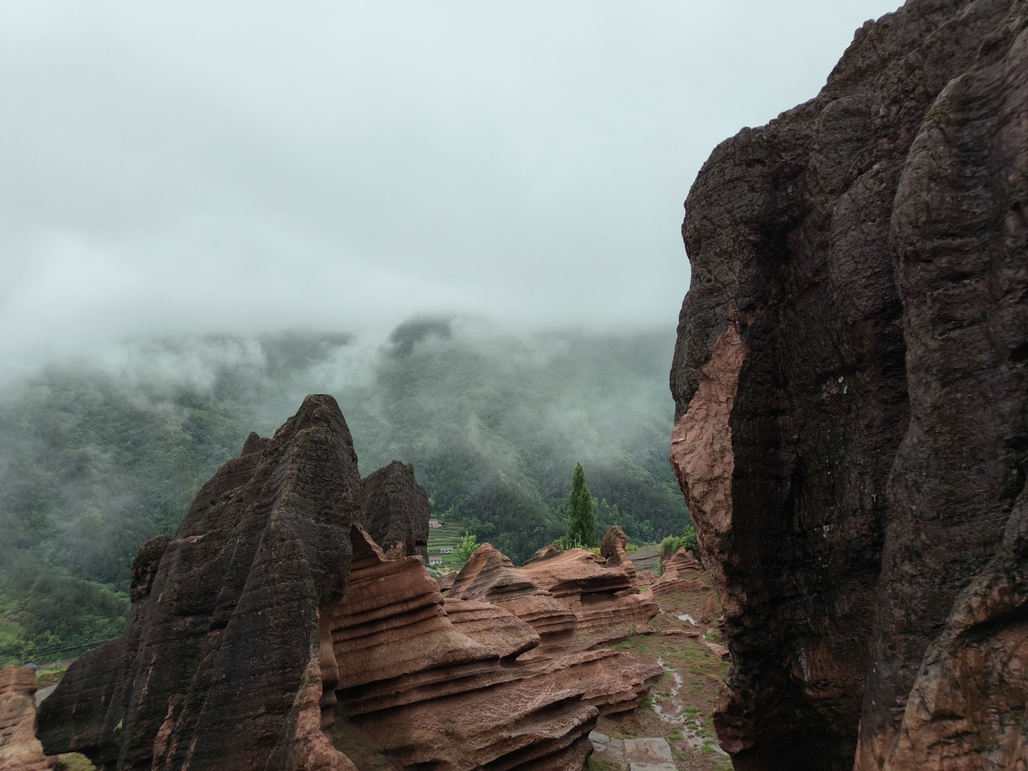 云上花石林旅行图片 3