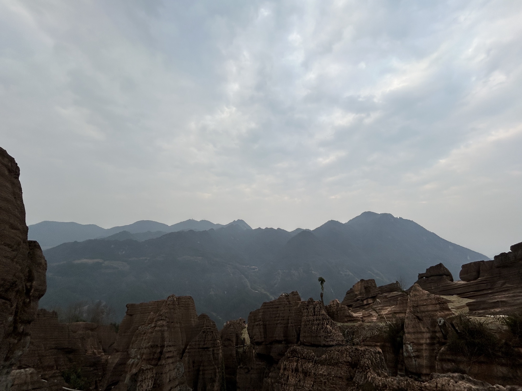 云上花石林旅行图片 1