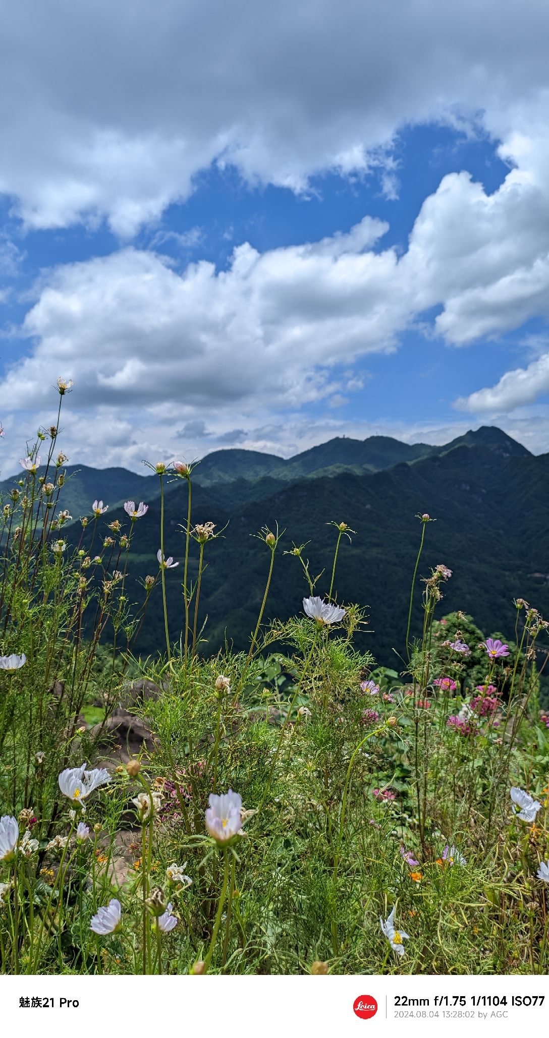 云上花石林旅行图片 2