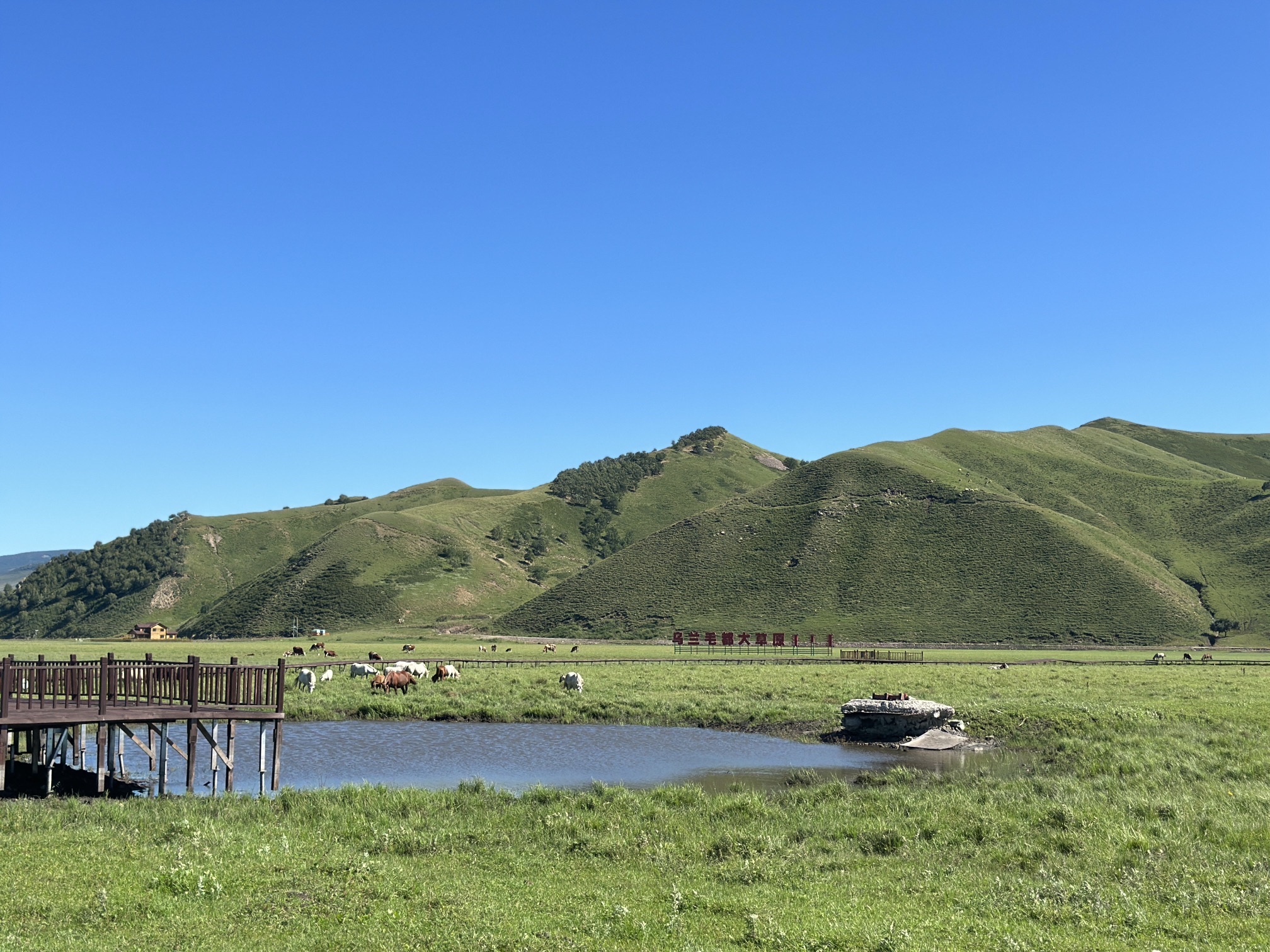 乌兰毛都草原风景区(暂停开放)旅行图片 1