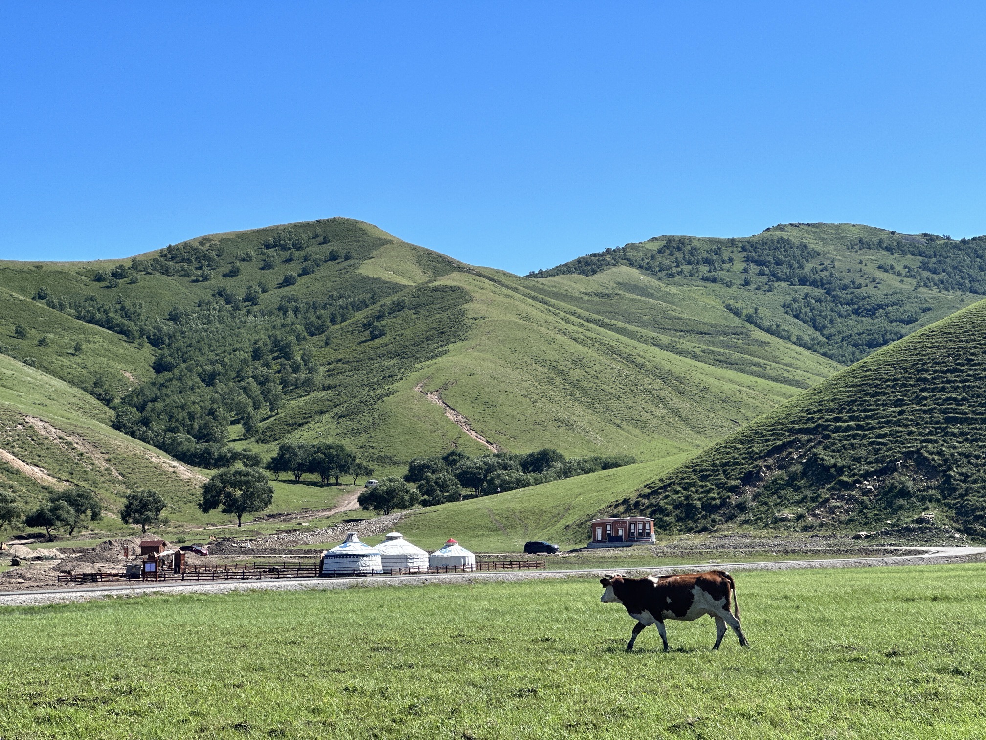 乌兰毛都草原风景区(暂停开放)旅行图片 2