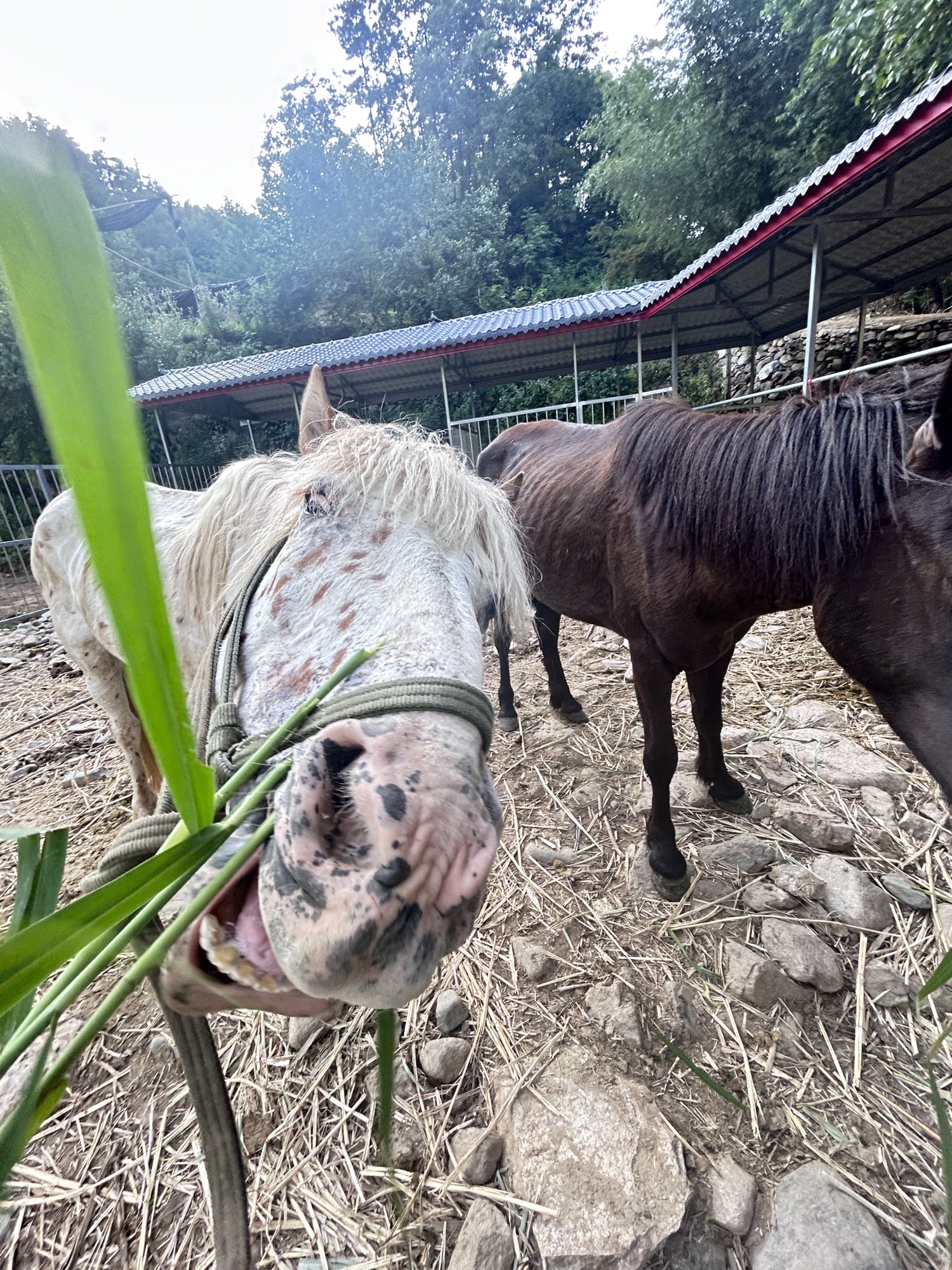 七星观龙谷旅行图片 3