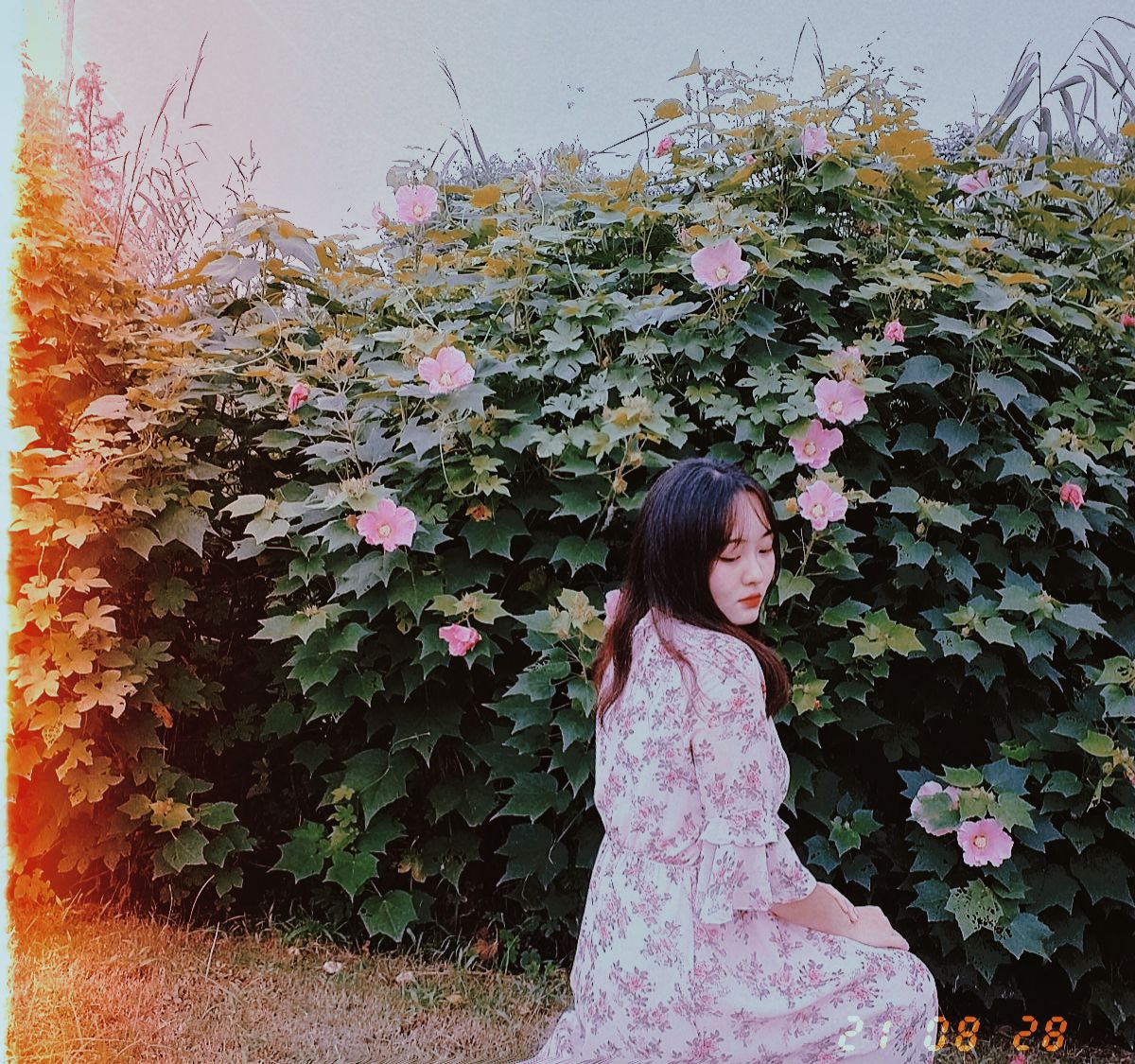七渔河体育公园旅行图片 1