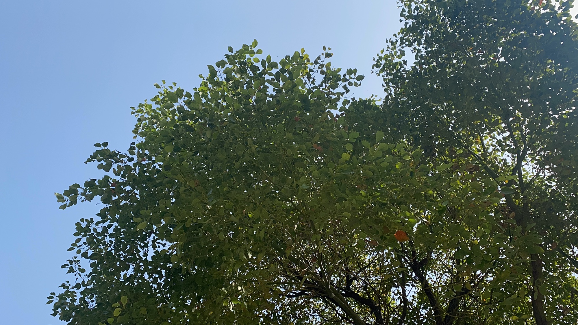 七渔河体育公园旅行图片 3