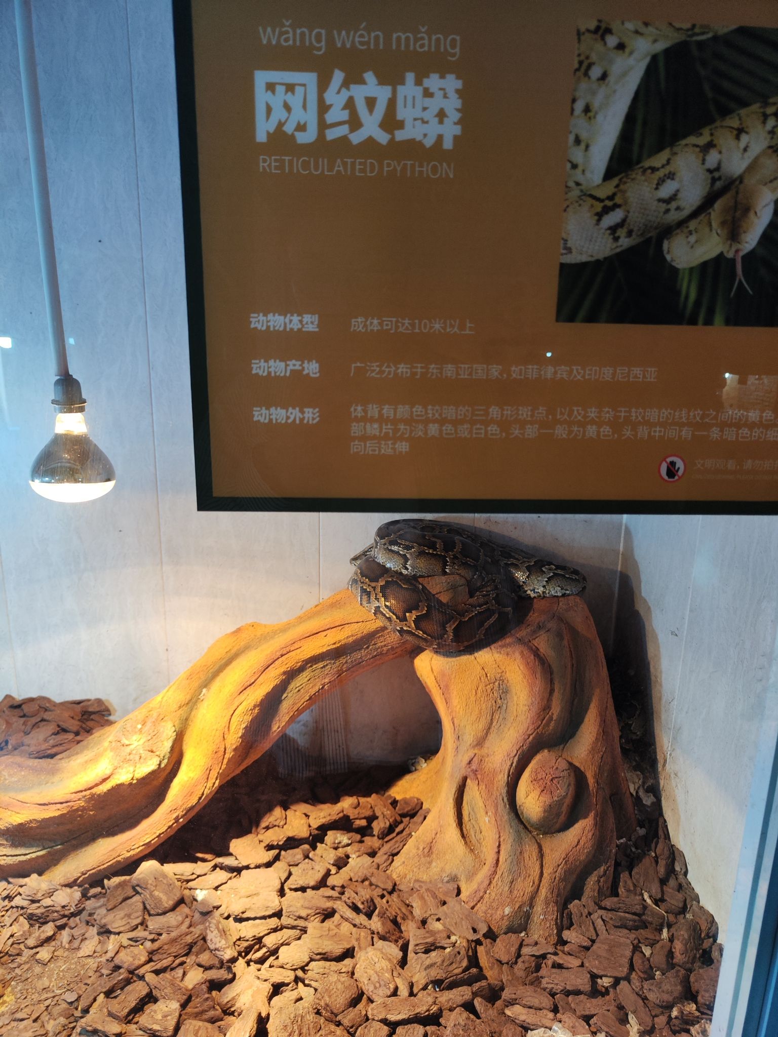 皖南野生动物园旅行图片 2