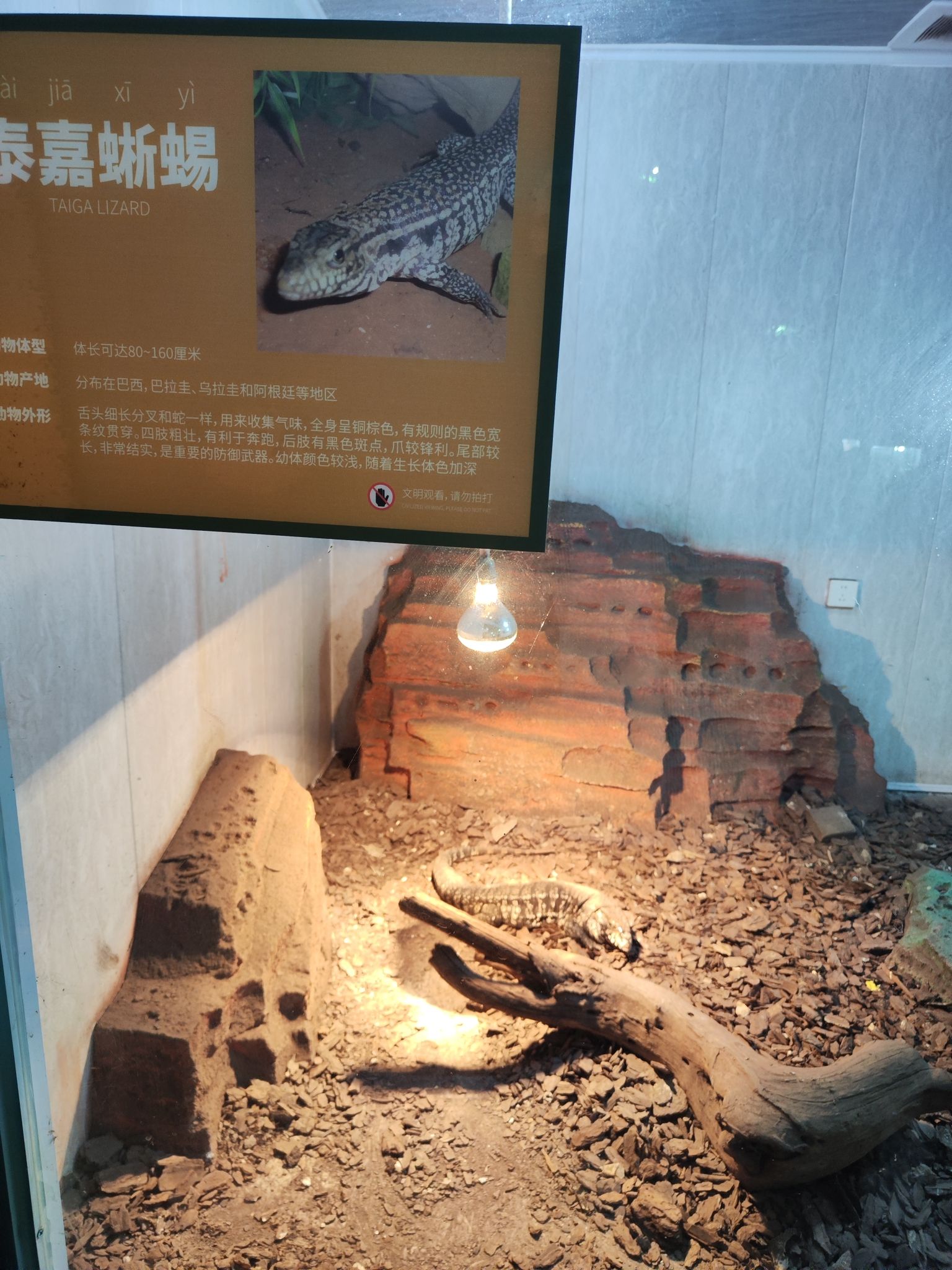 皖南野生动物园旅行图片 1