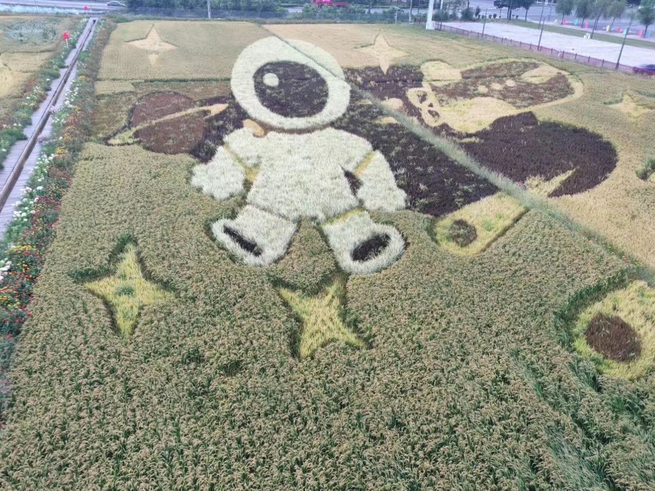 源宇宙农乐科普基地旅行图片 1