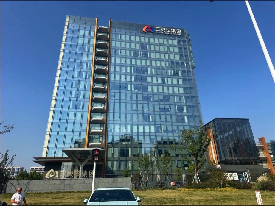 三只羊(合肥)控股集团有限公司