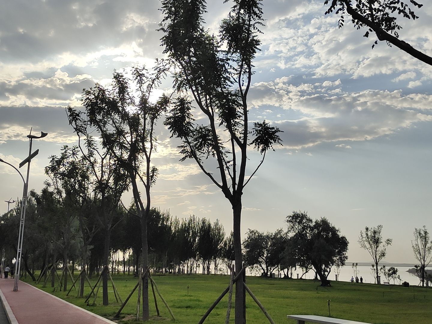 乌海滨河公园旅行图片 1