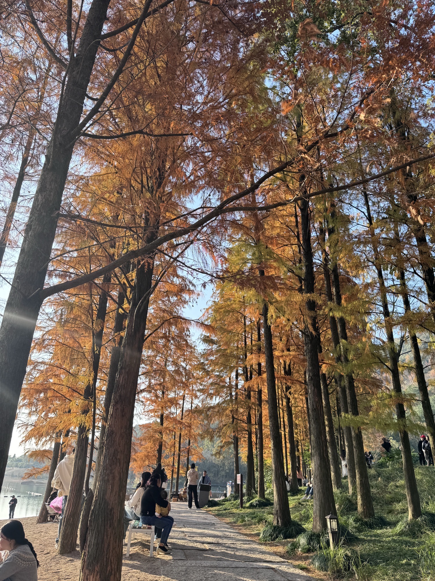 滨江大草原旅行图片 2