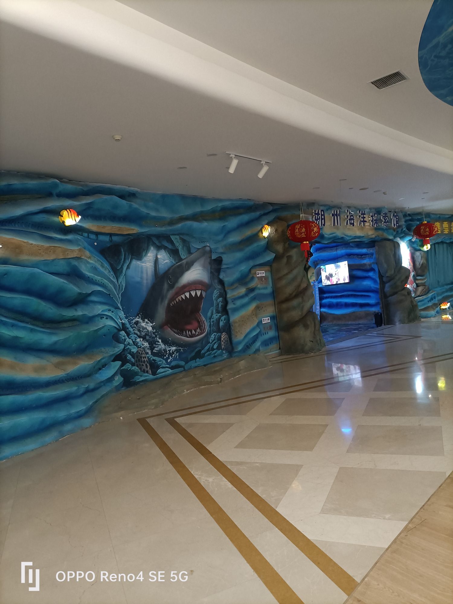 朔州海洋馆旅行图片 1