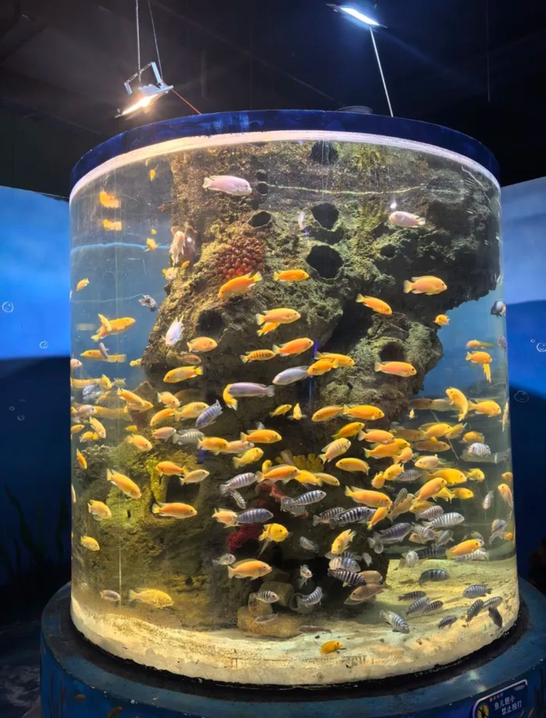 朔州海洋馆旅行图片 1