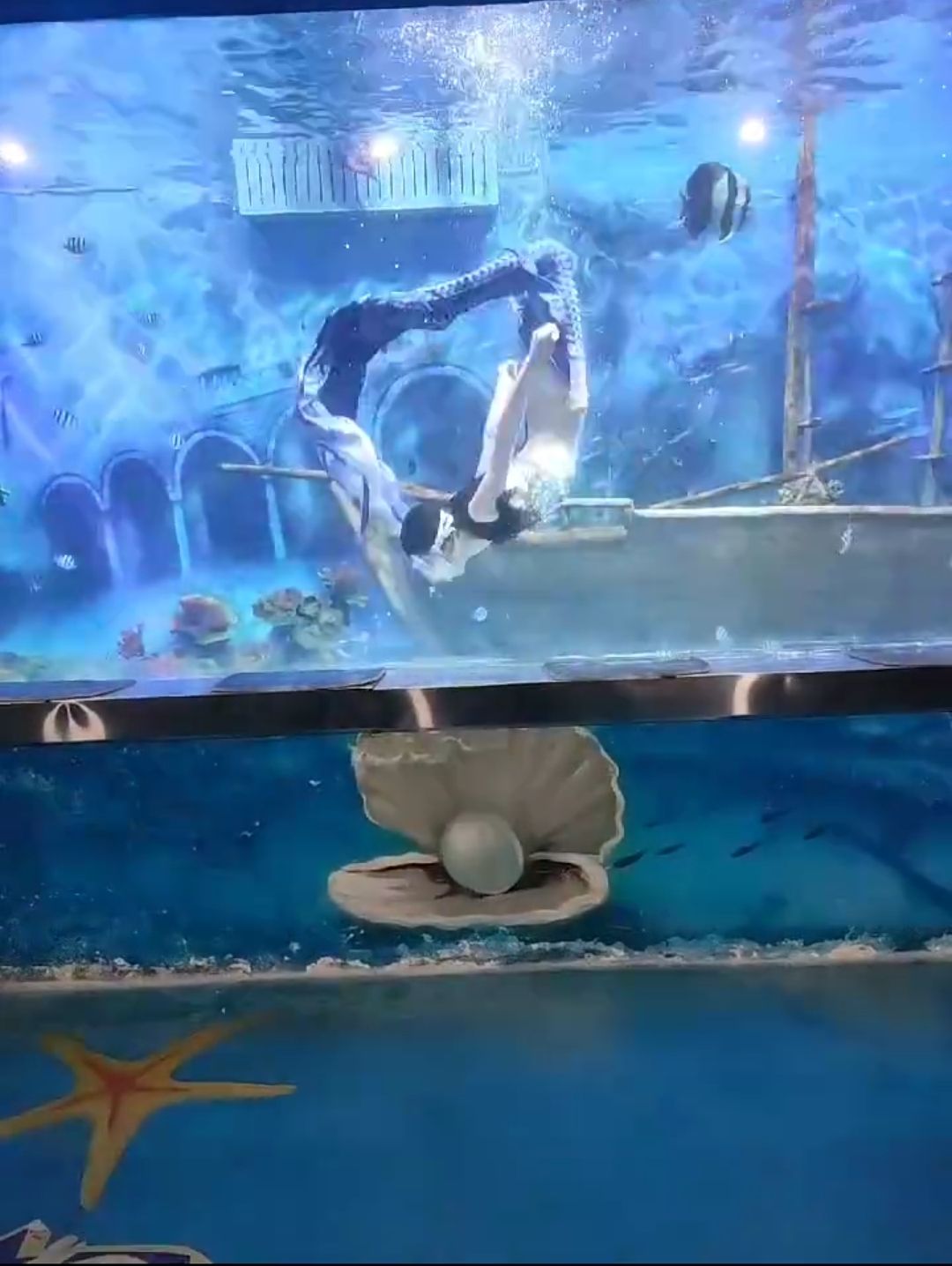 朔州海洋馆旅行图片 2