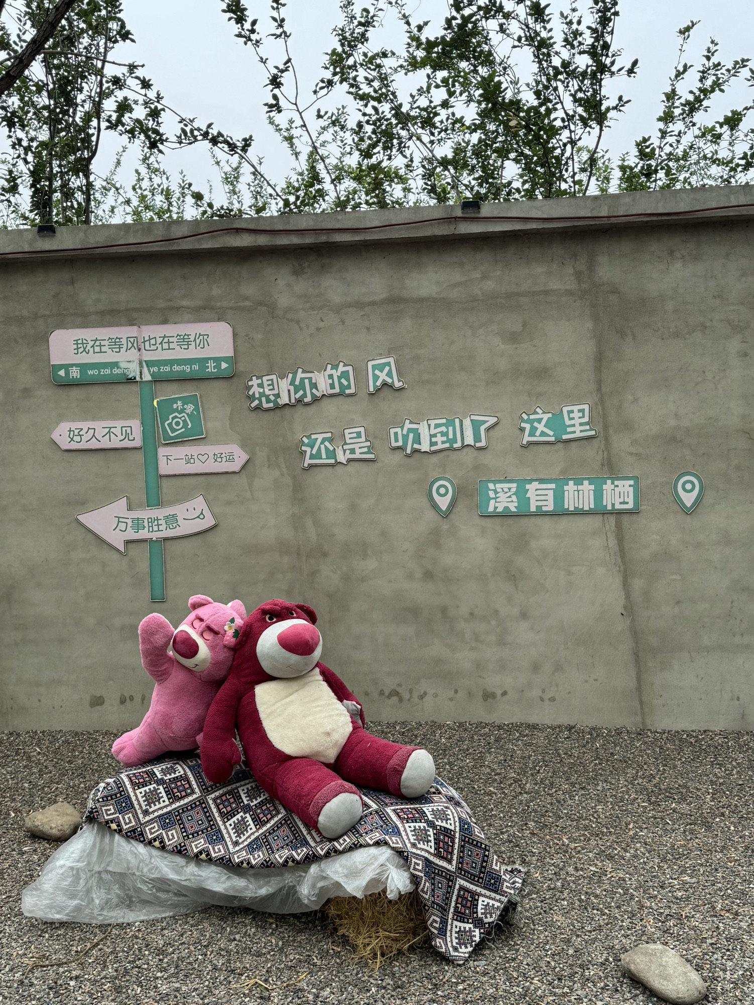 场地封面-溪有林栖帐篷·烧烤·派对综合露营地