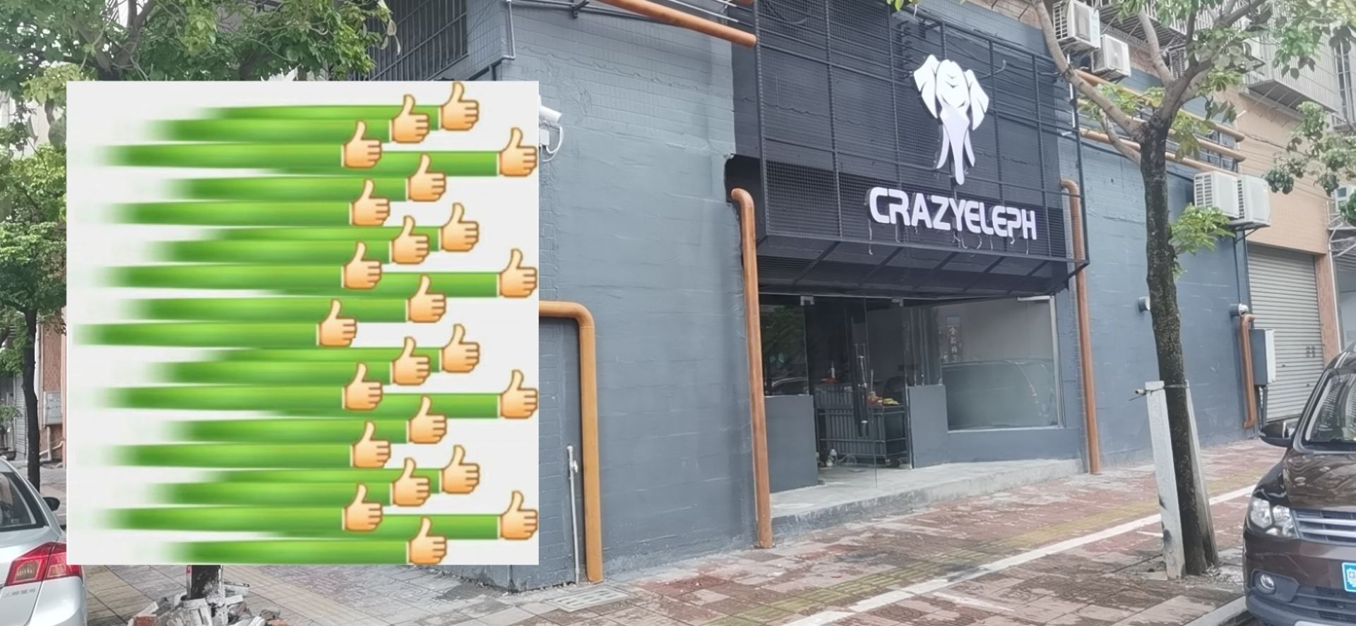 广东疯狂大笨象体育用品有限公司