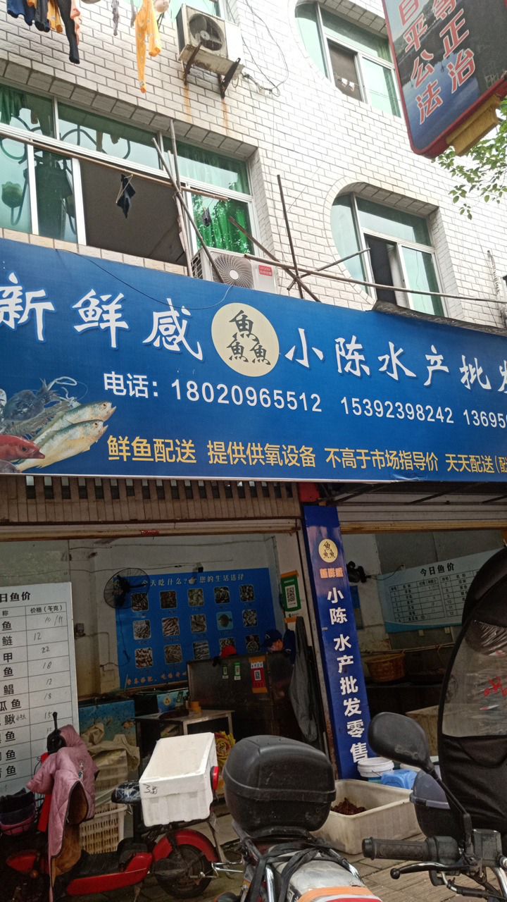 小陈水产批发零售