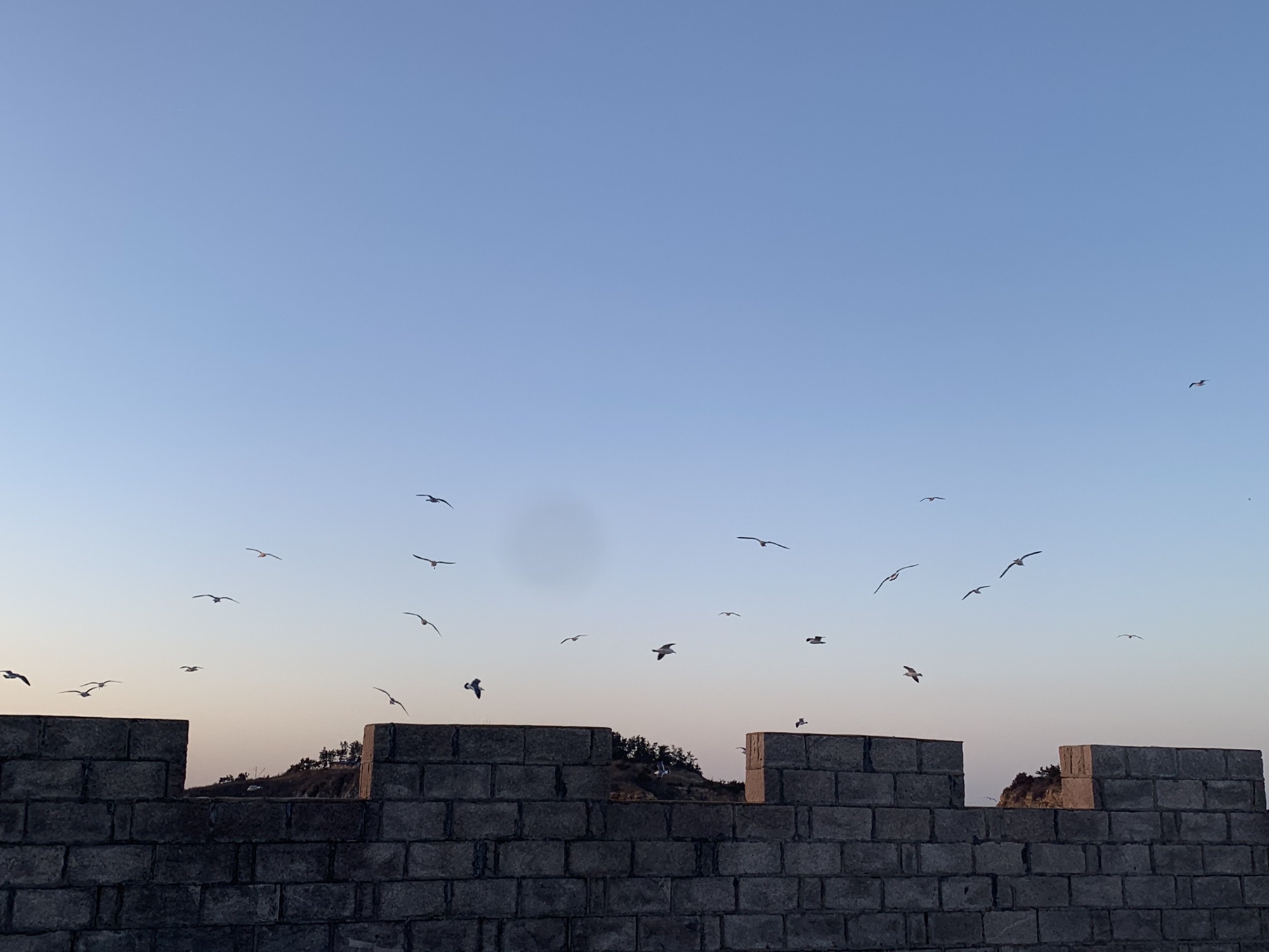 小石岛观景台旅行图片 2