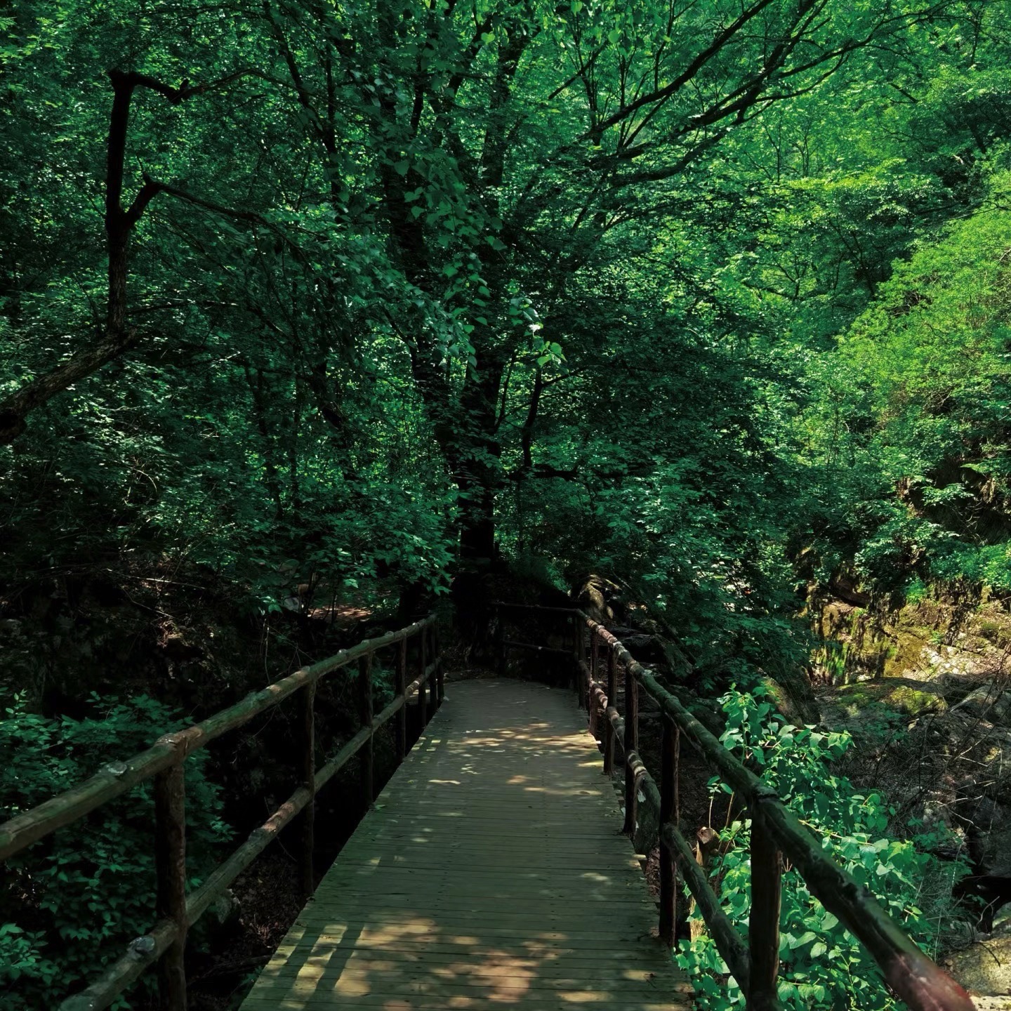 九龙潭瀑布旅行图片 1
