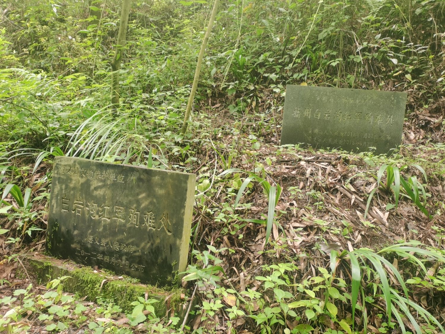 播州白岩沟红军殉难处旅行图片 2